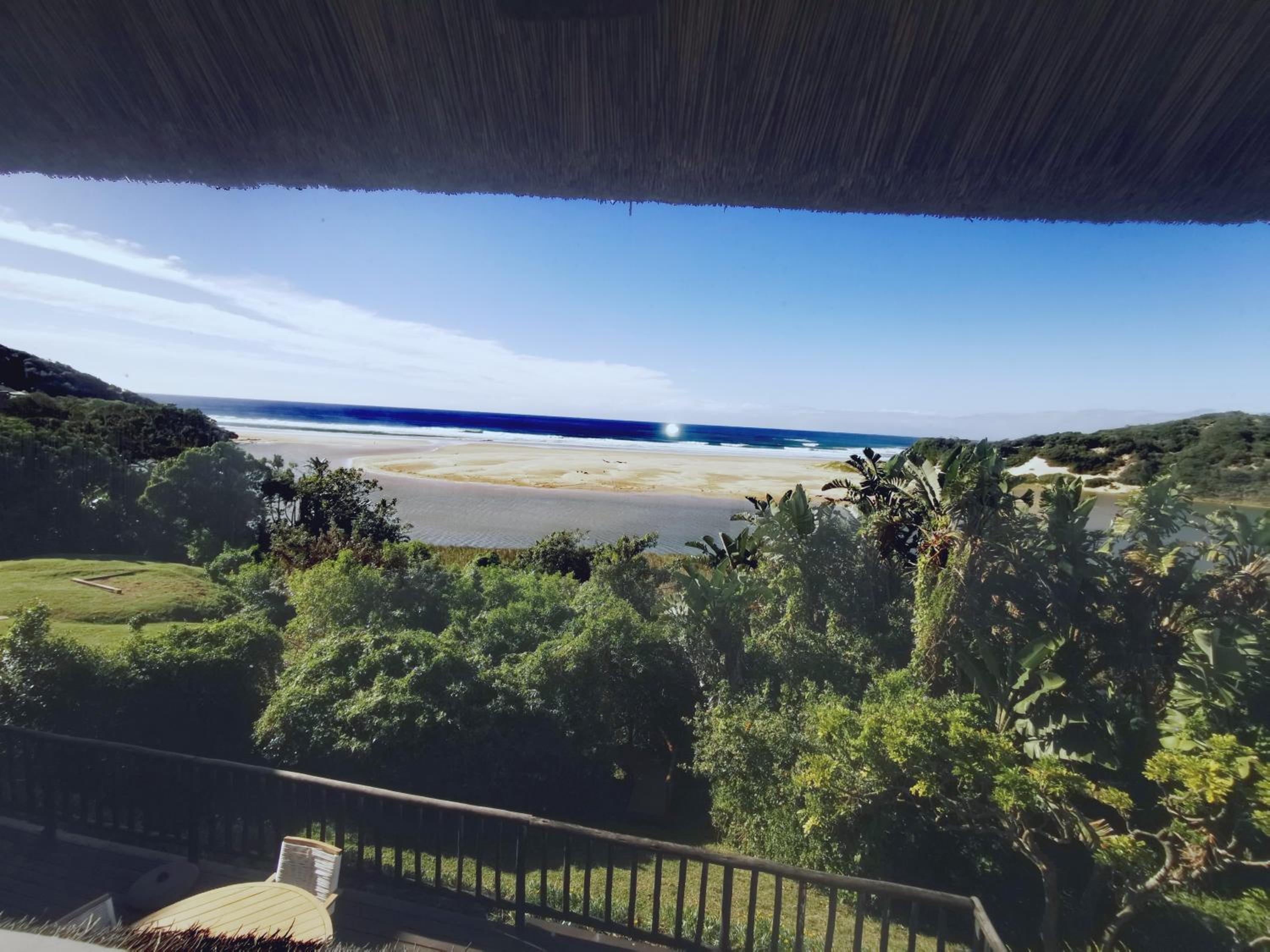 QUI: PALM QUI HOUSE OF THE RISING SUN view 5