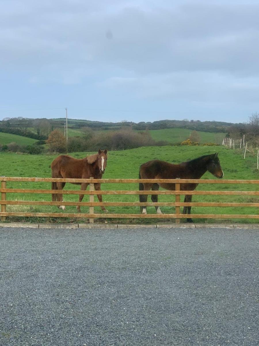 Portaferry self catering retreat view 3