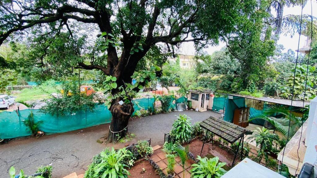 Ivy Pearl Houses Row House No 3 (4 BHK) with Common Pool