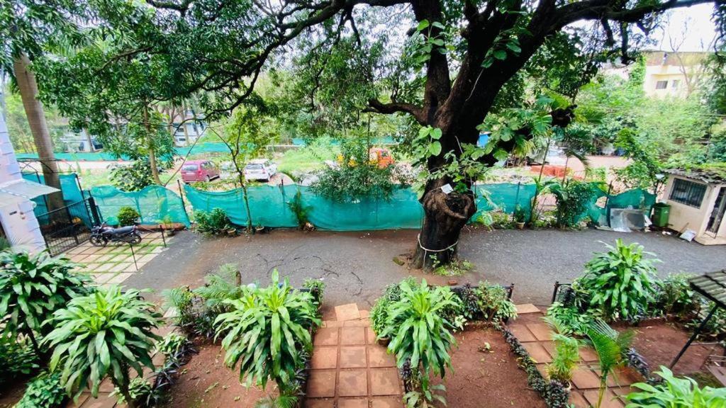 Ivy Pearl Houses Row House No 3 (4 BHK) with Common Pool