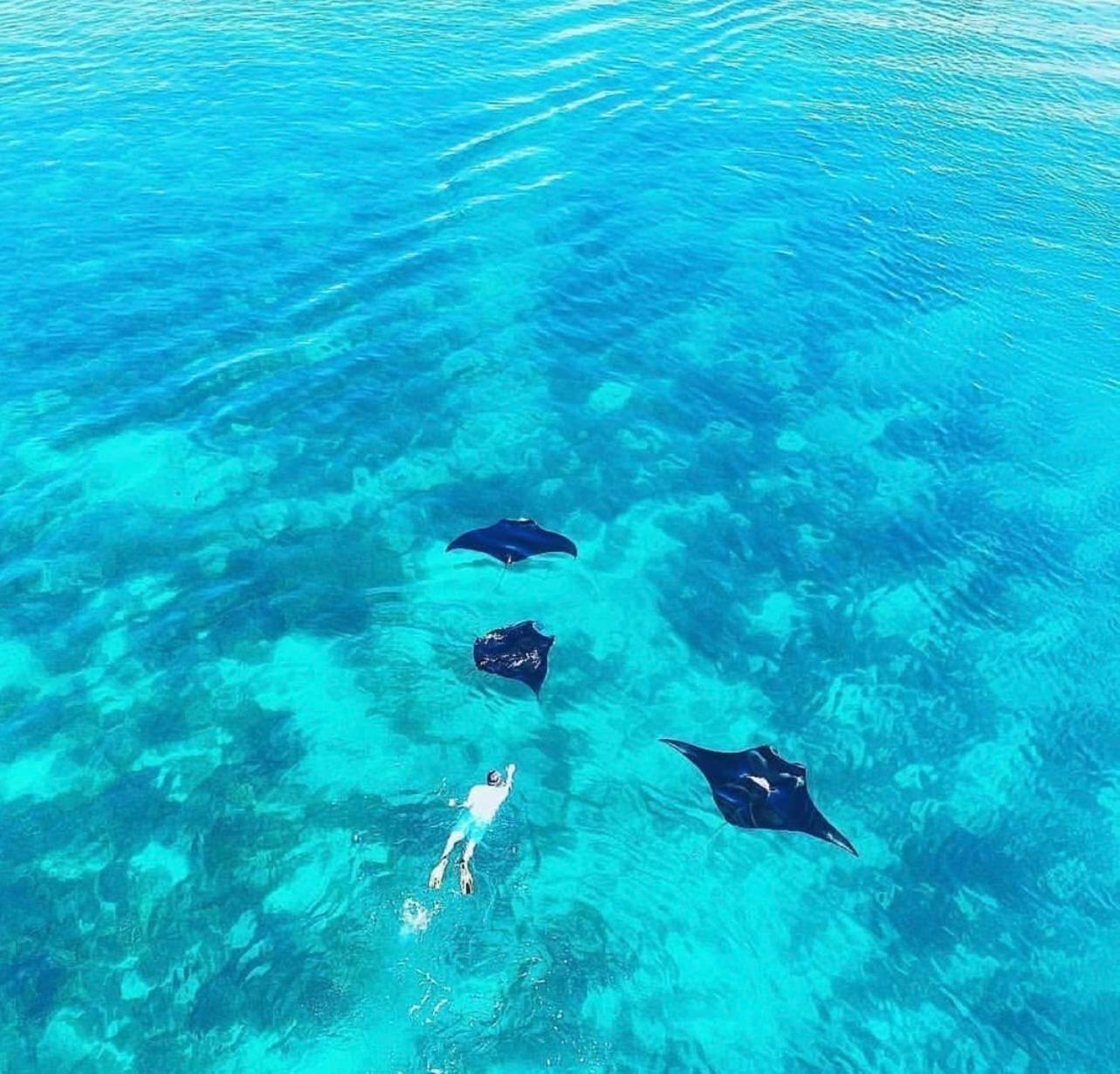 Jhuna Komodo Homestay
