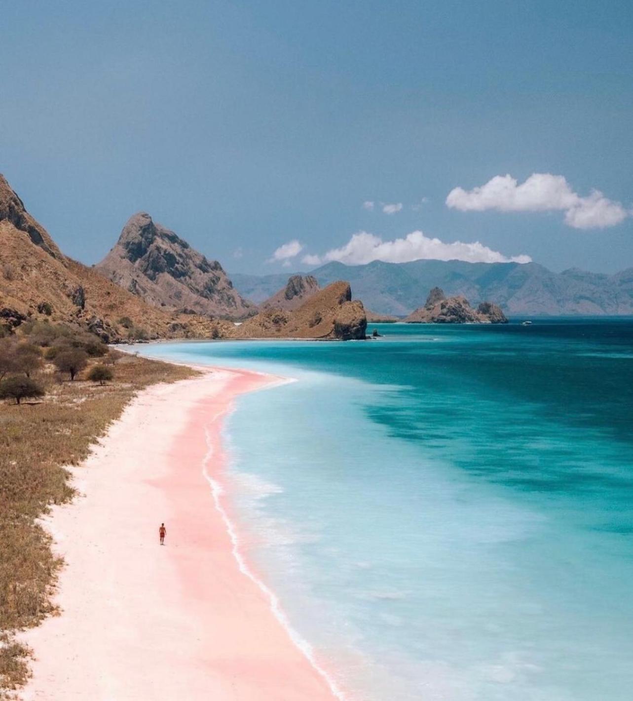 Jhuna Komodo Homestay