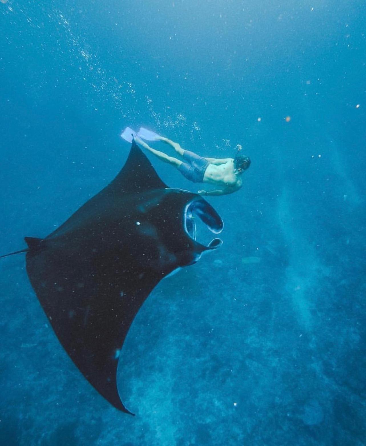 Jhuna Komodo Homestay