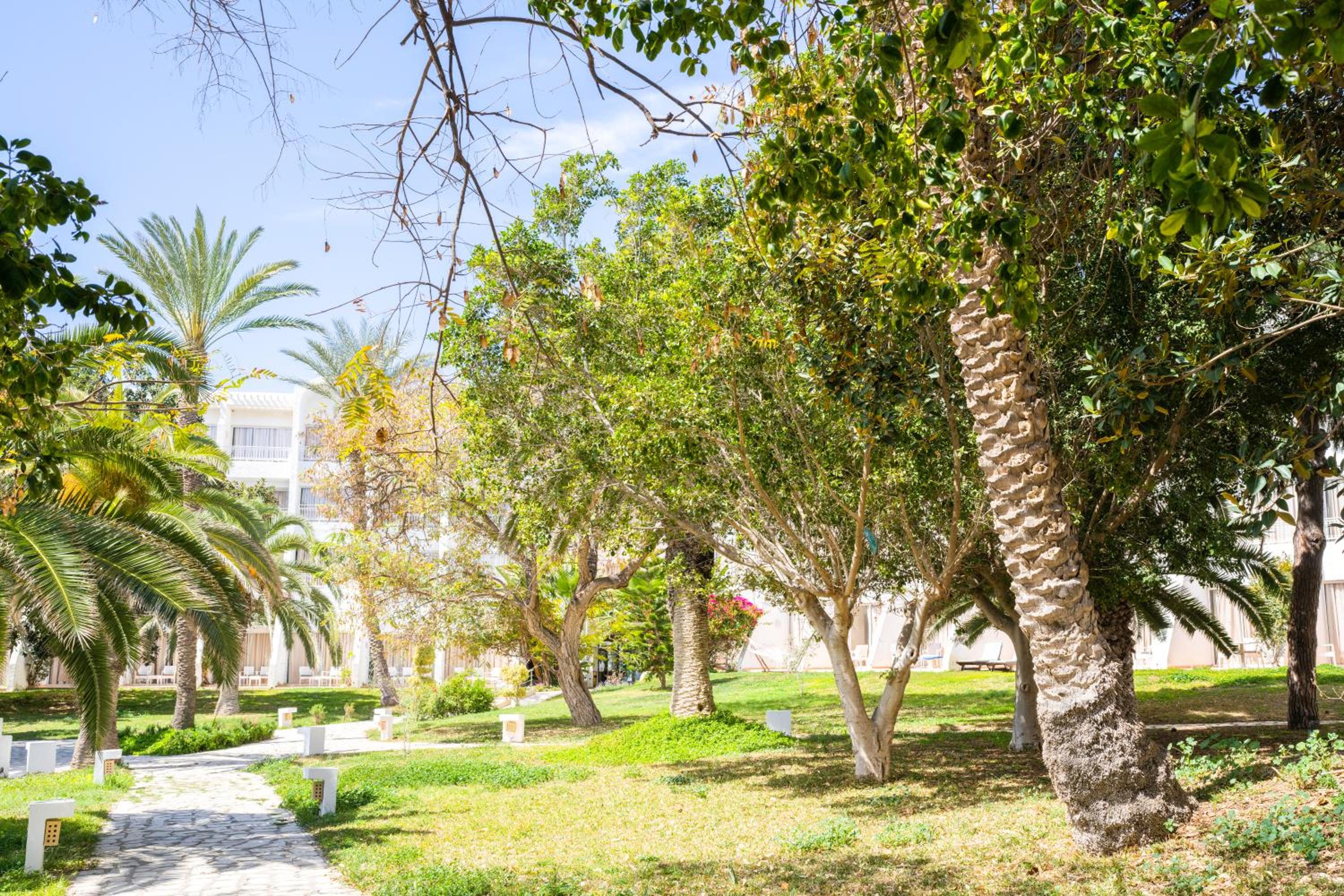 Hammamet Vacations - Hotel Bel Azur Thalasso Bungalows - Property Image 48