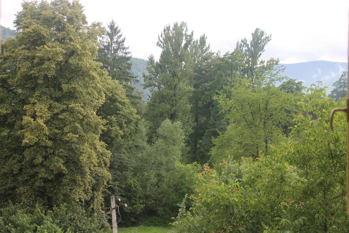 Photo 57