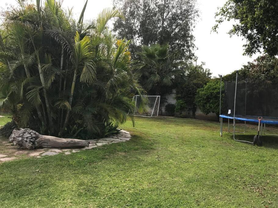Departamento con Hermoso jardin