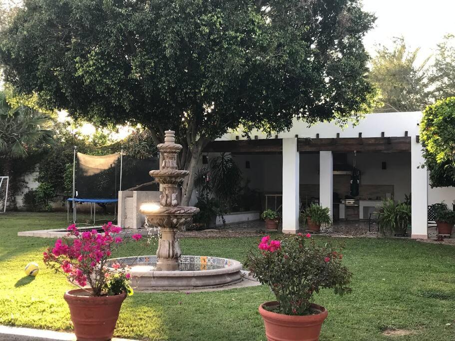 Departamento con Hermoso jardin