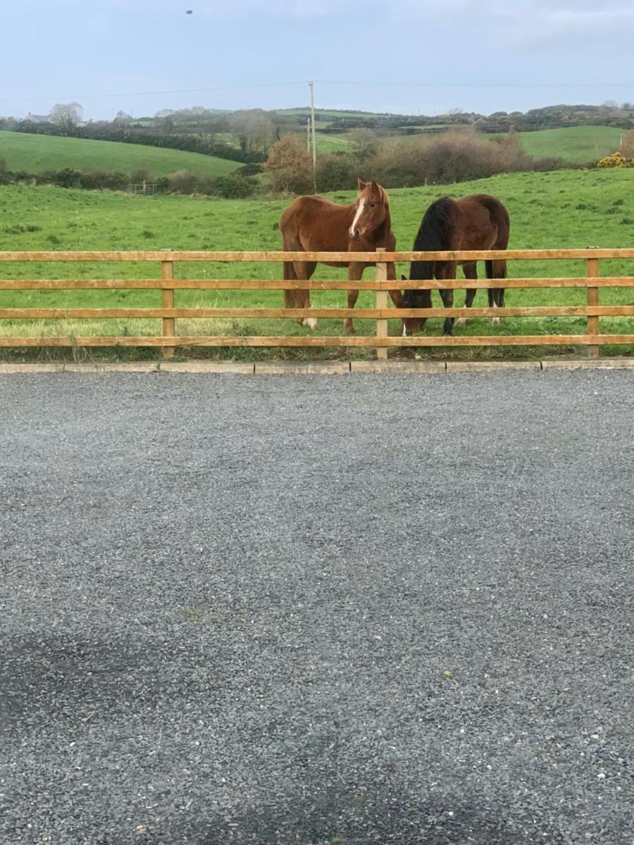 Portaferry self catering retreat view 2