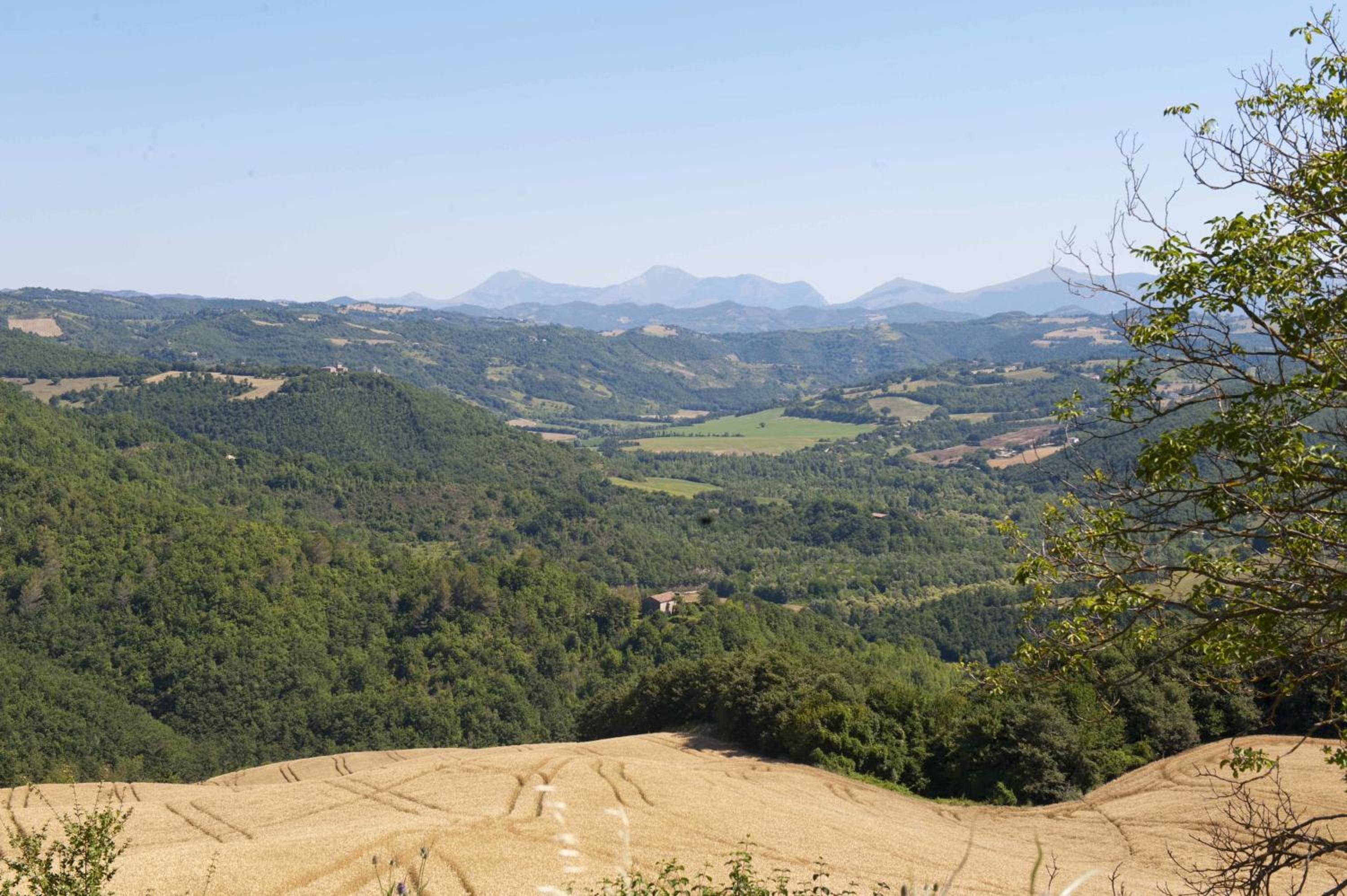 Agriturismo Tenuta Di Biscina