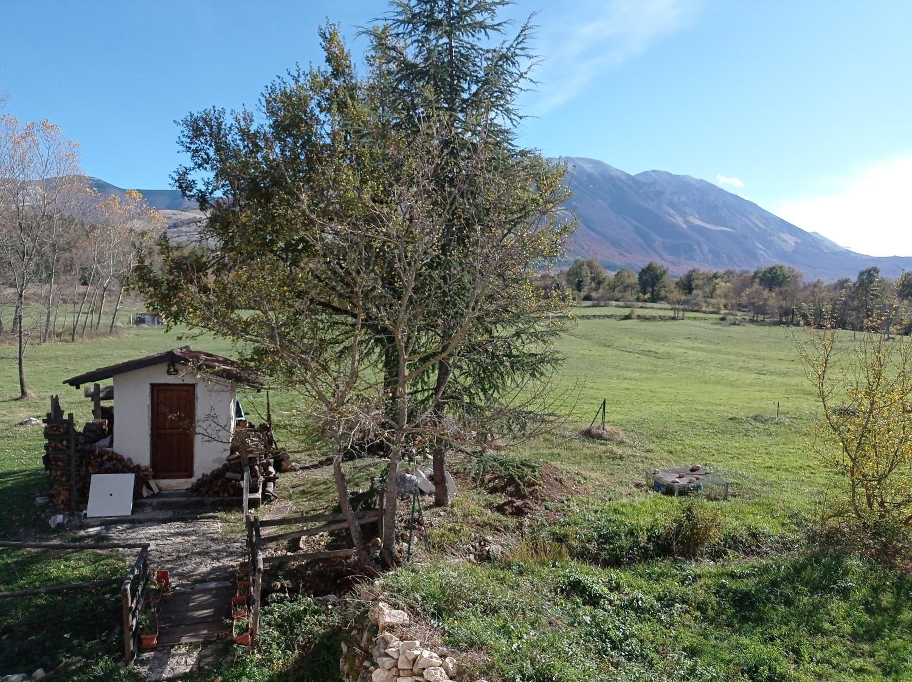 Famiglia nel vento photo 5