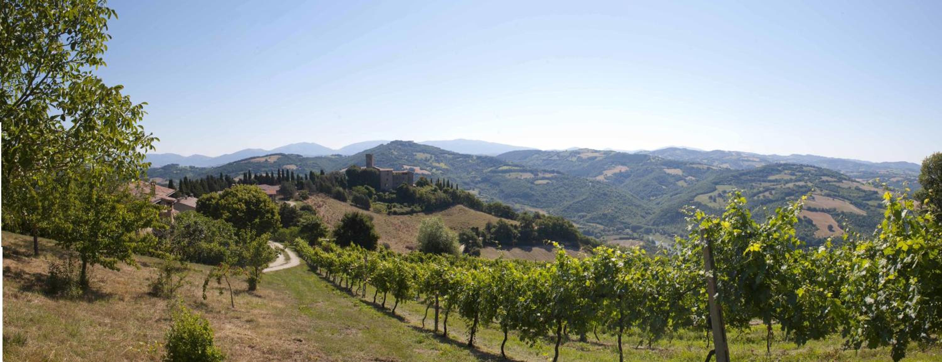 Agriturismo Tenuta Di Biscina