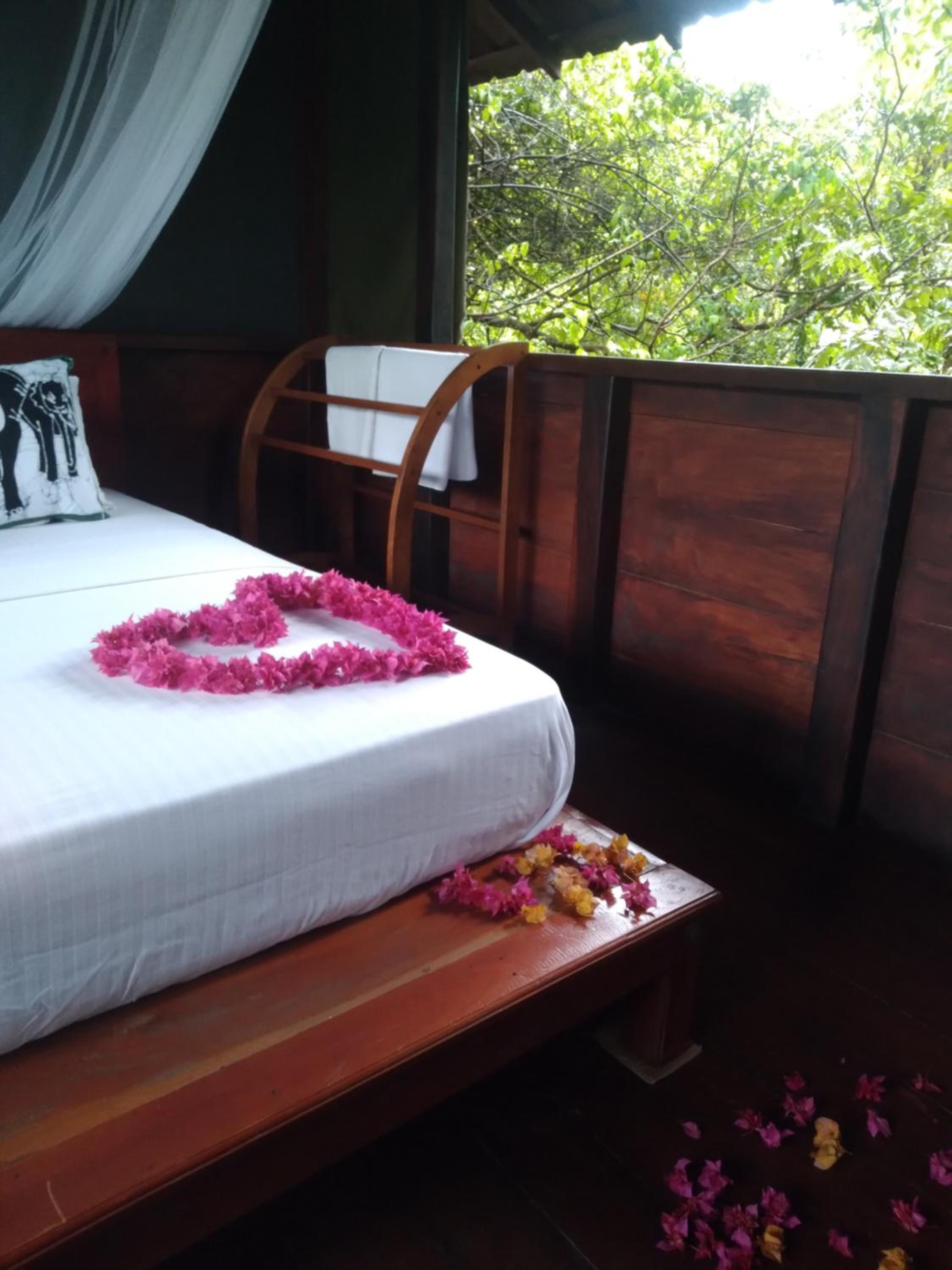 Dambulla Tree House view 5