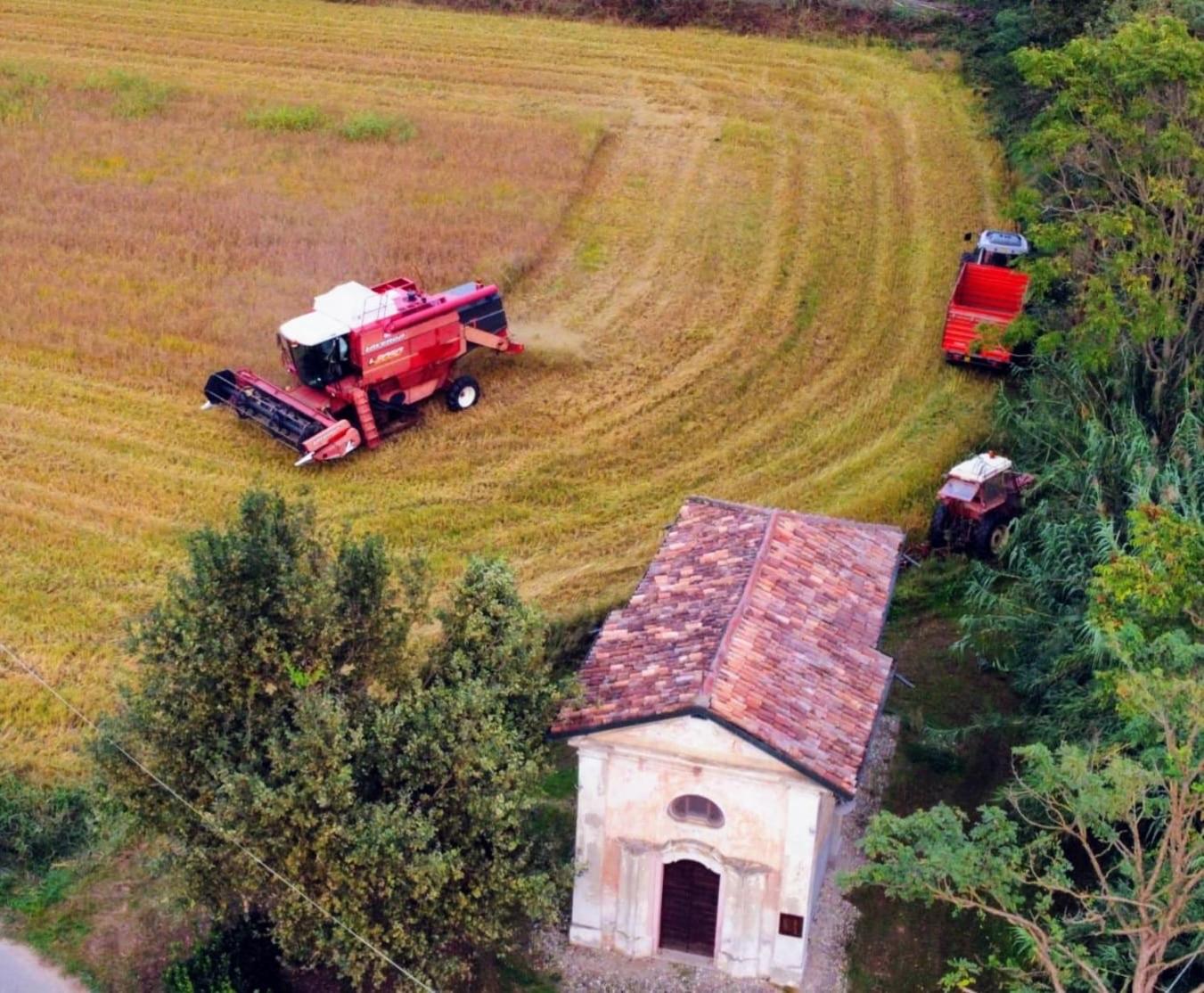 Cascina Mora Bassa view 3