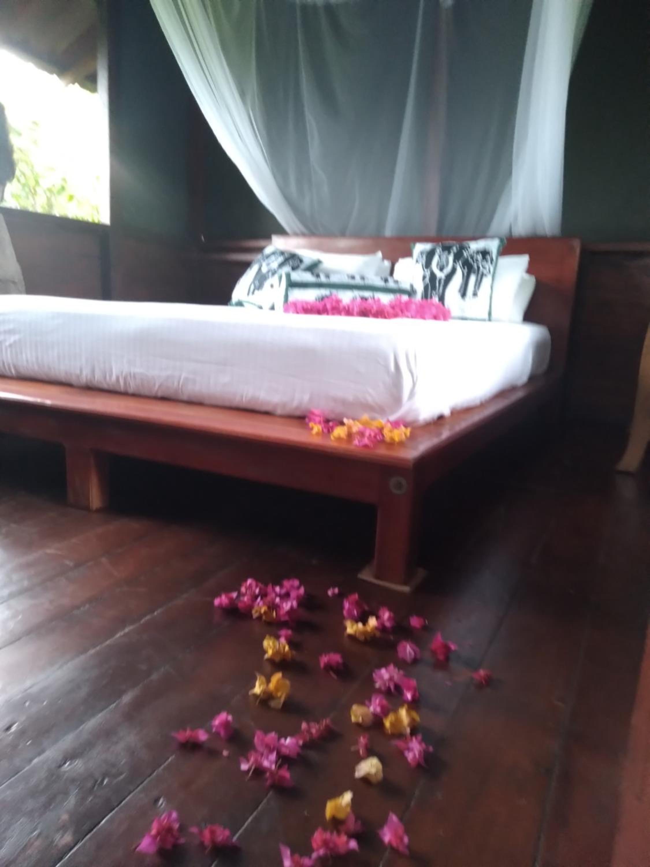 Dambulla Tree House view 4