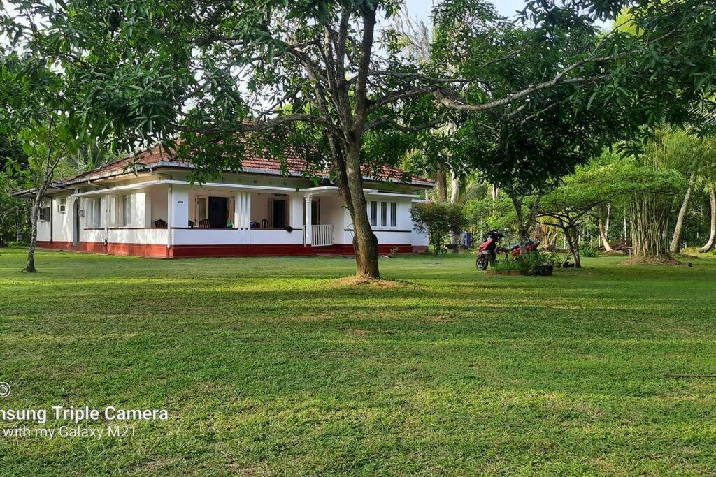 Eco villa, spacious cozy house. view 2