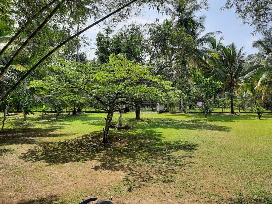 Eco villa, spacious cozy house. view 4