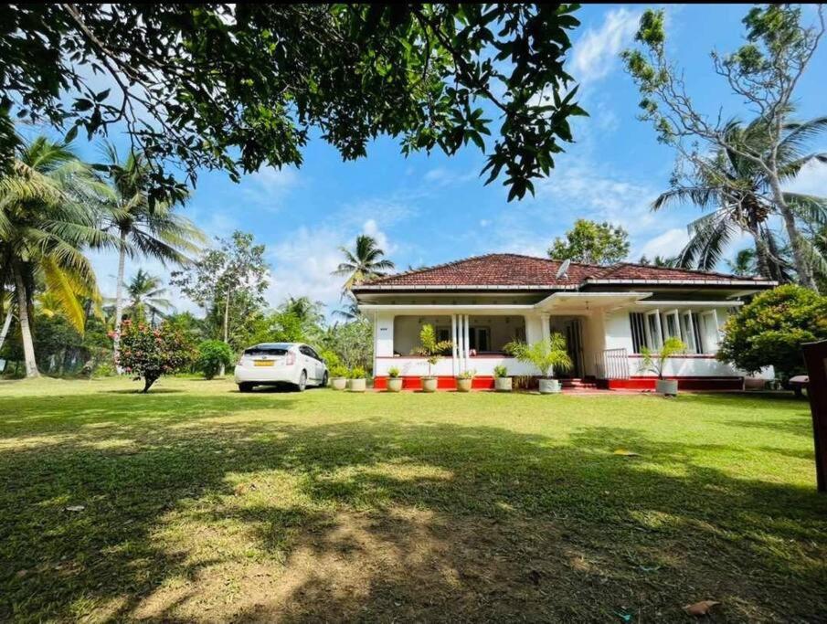 Eco villa, spacious cozy house. view 3