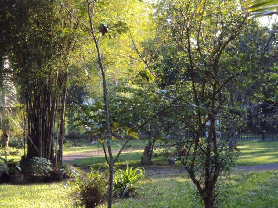 Eco villa, spacious cozy house. view 5