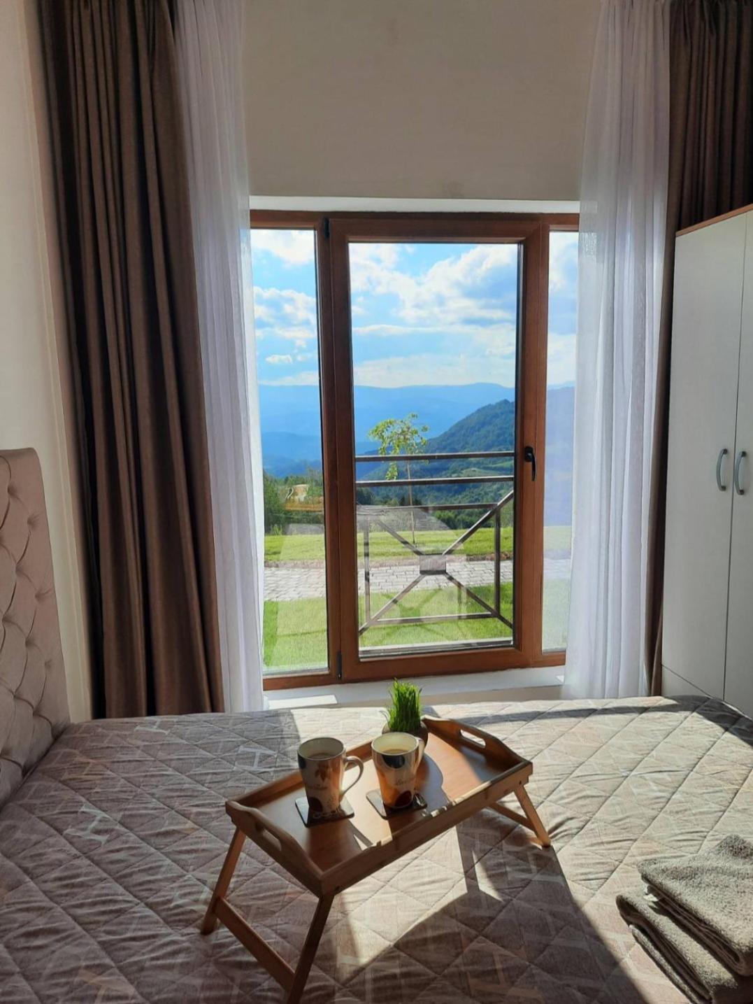 Milmari N11 Kopaonik view 5