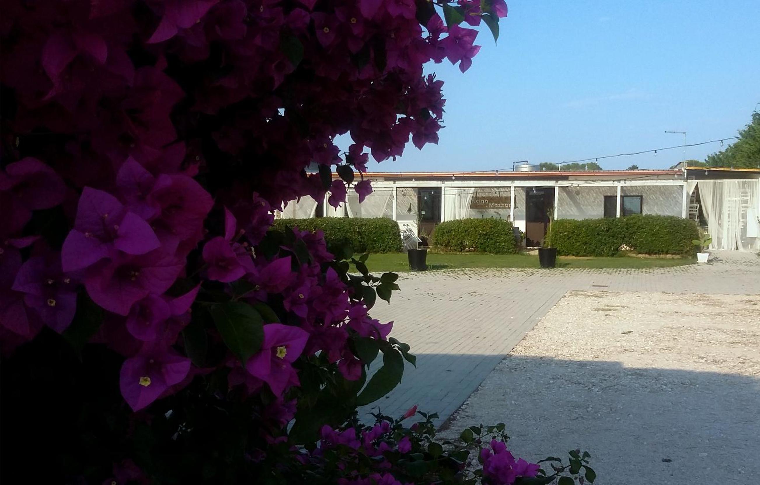 Mazzara Farm