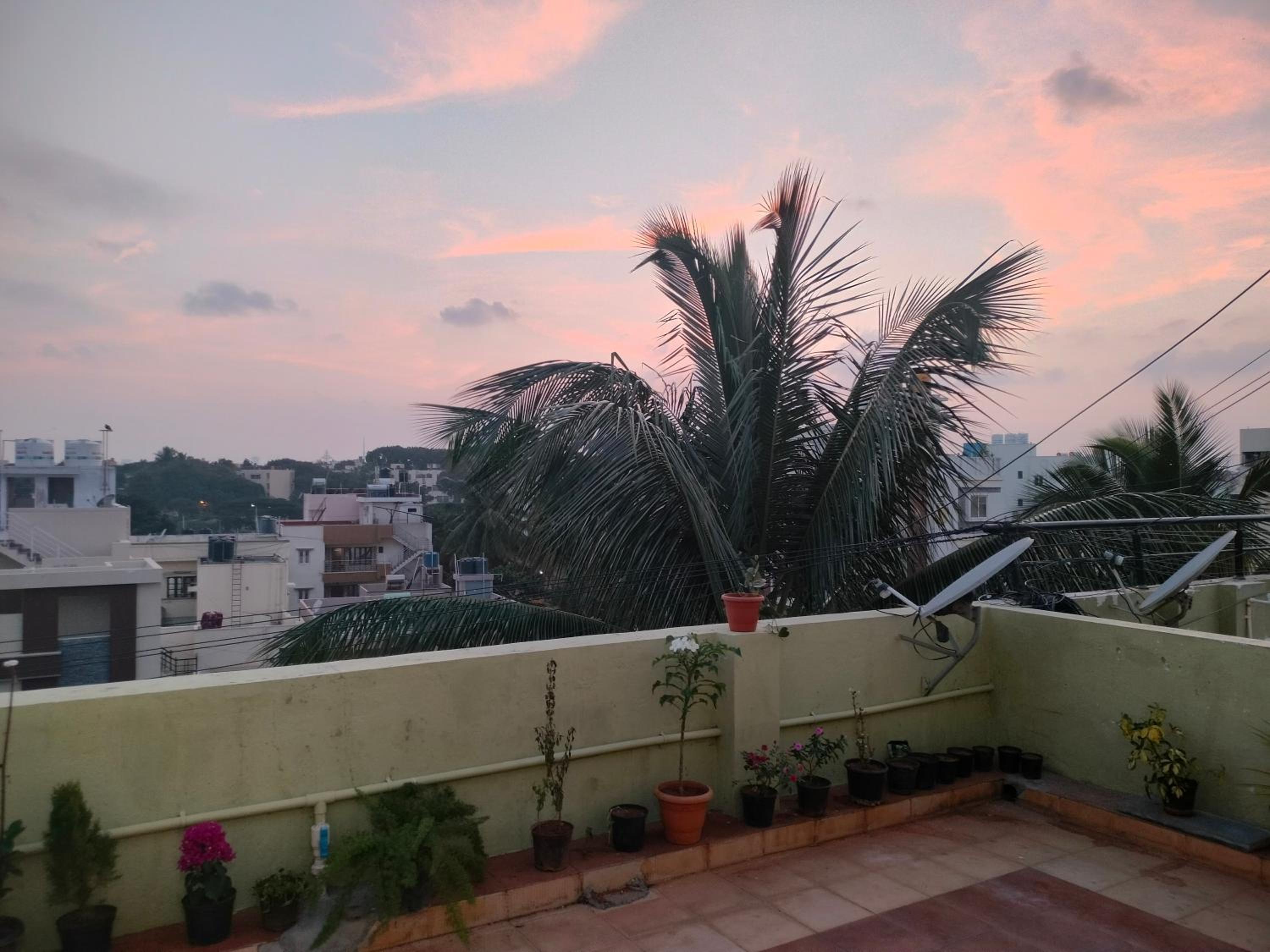 roof