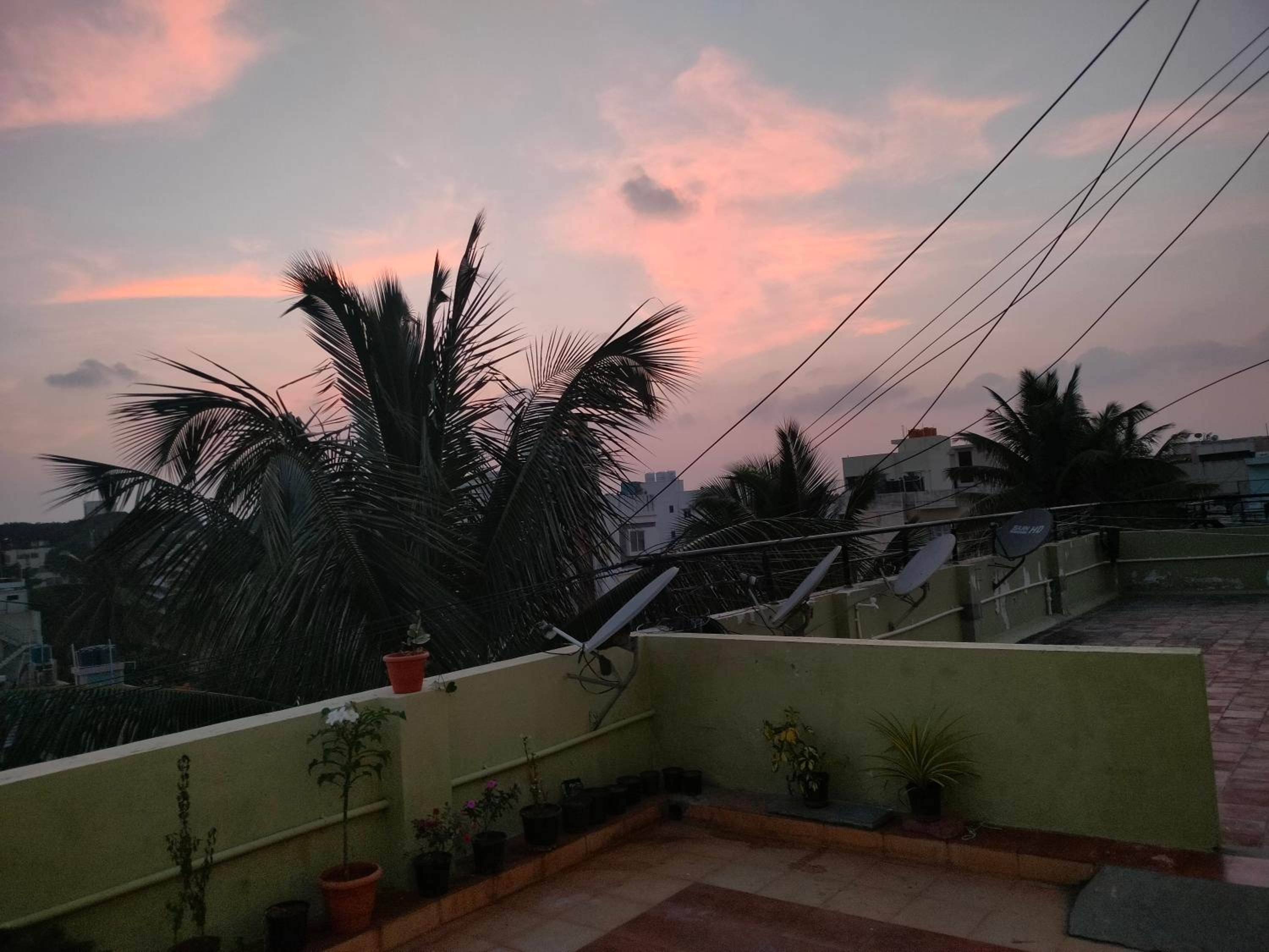 roof