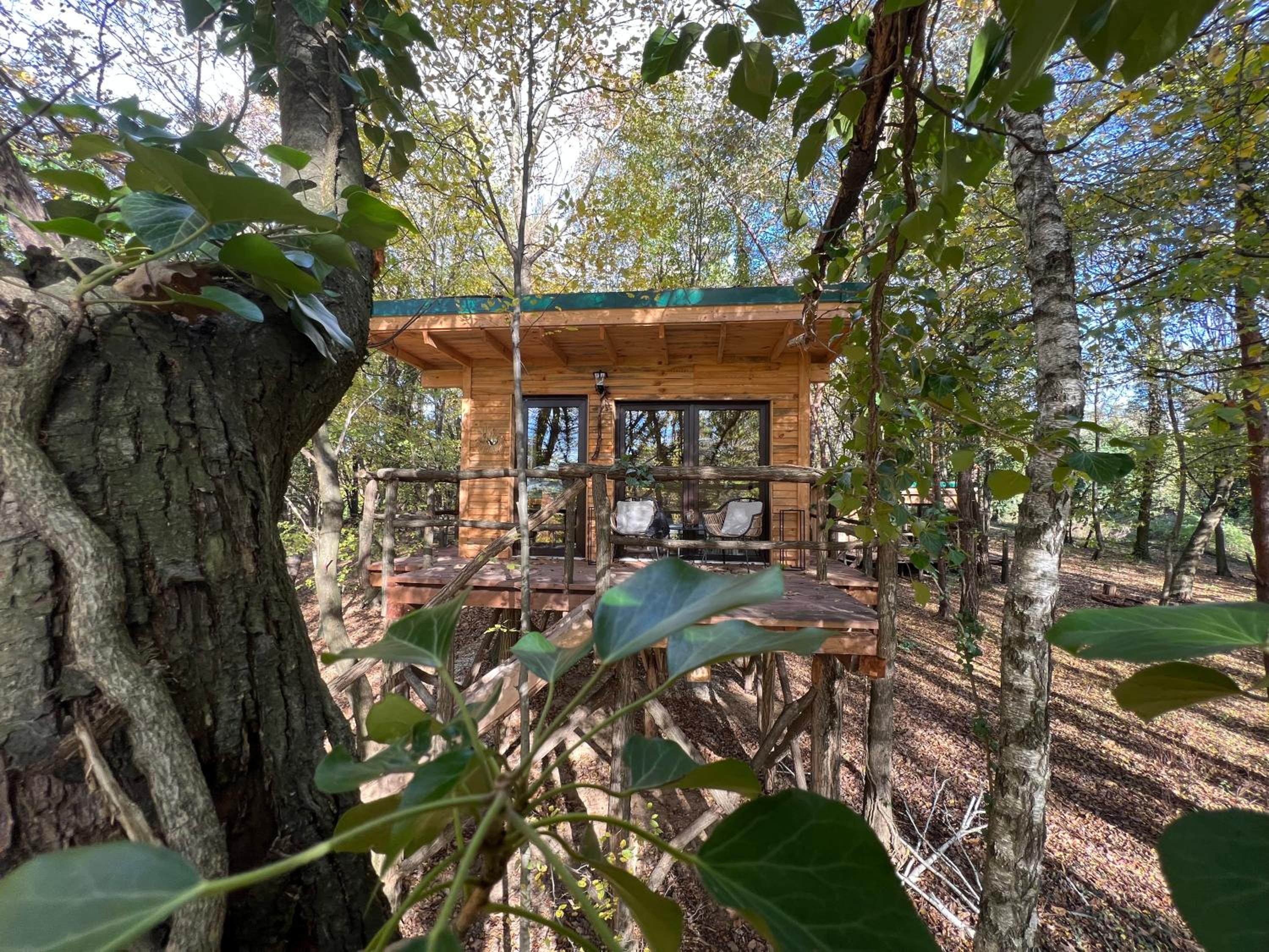 Living Forest Resort