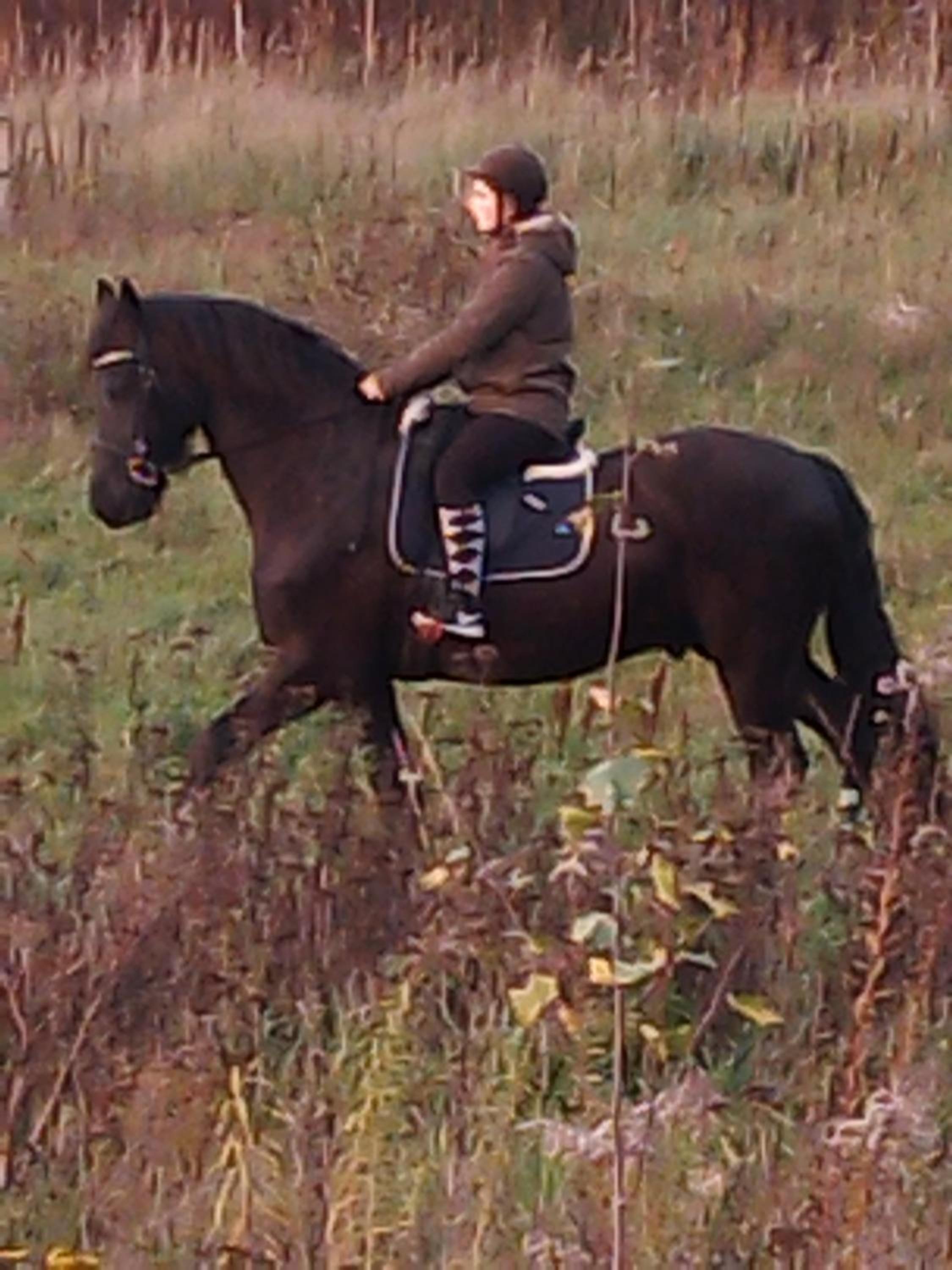 Photo 41
