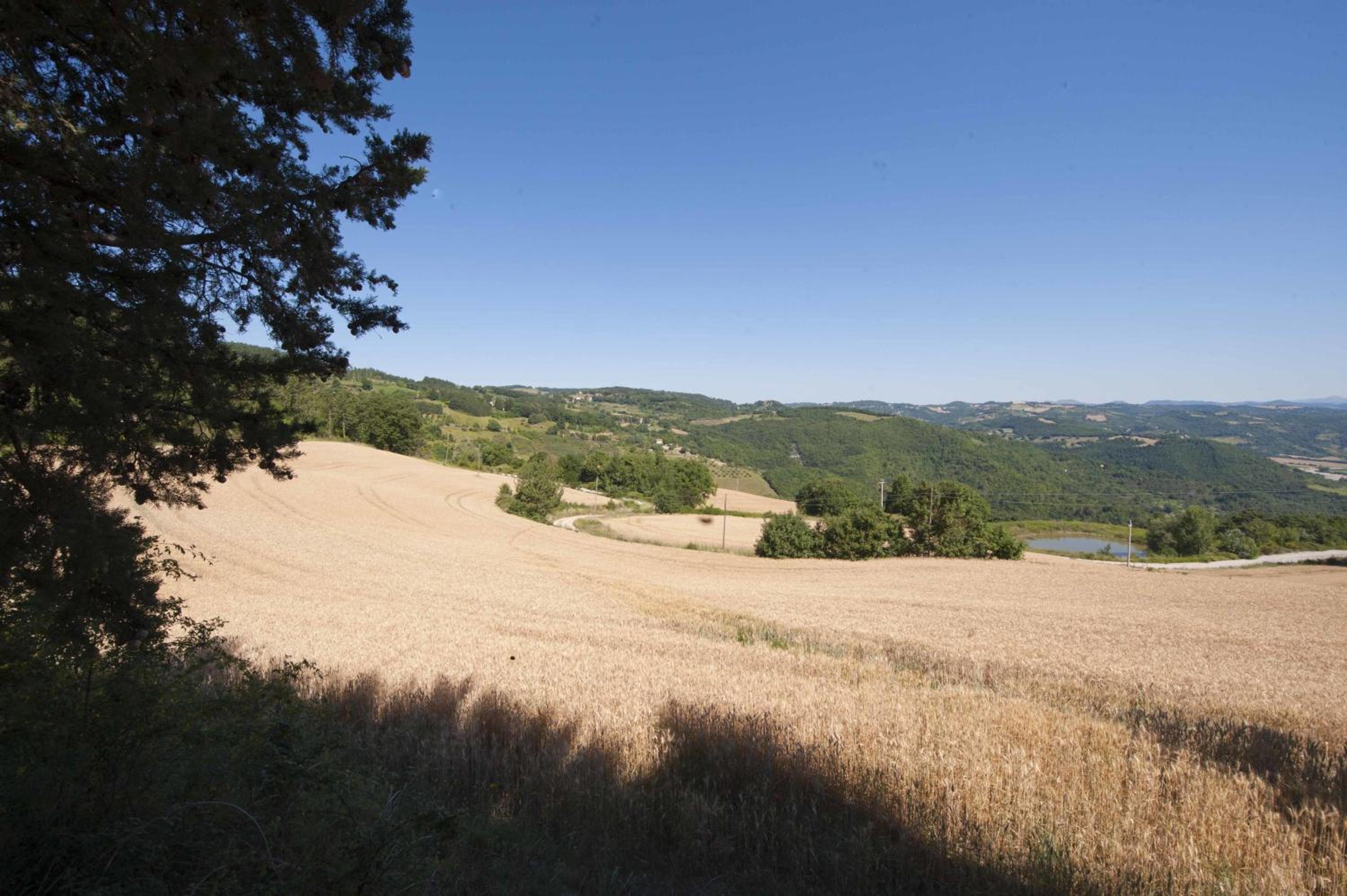 Agriturismo Tenuta Di Biscina