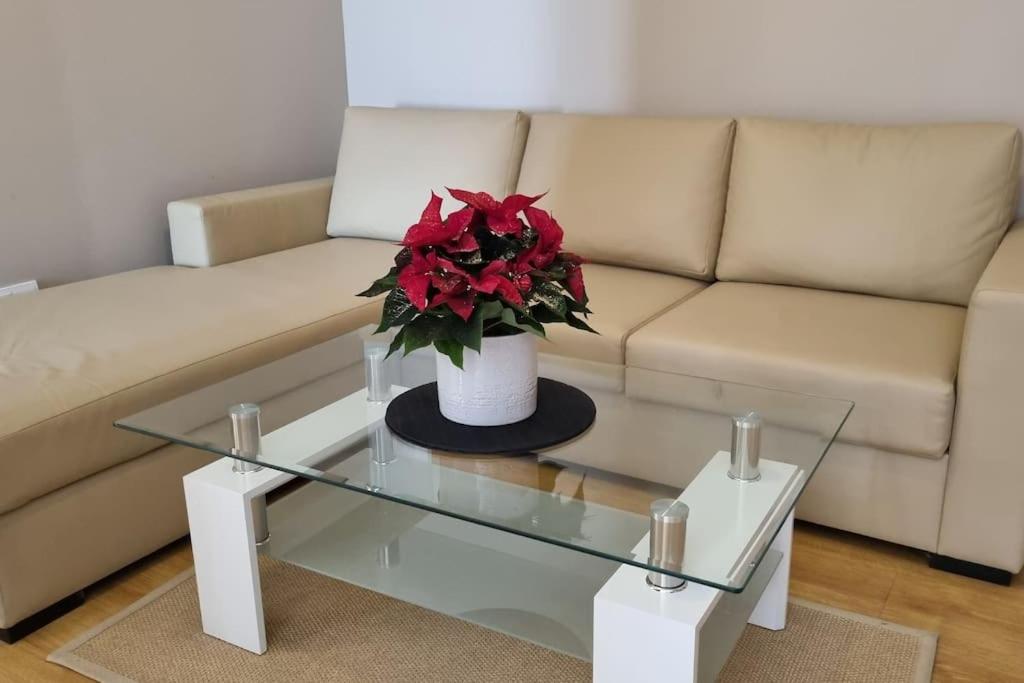 BH & Semiramida Ski Apartment