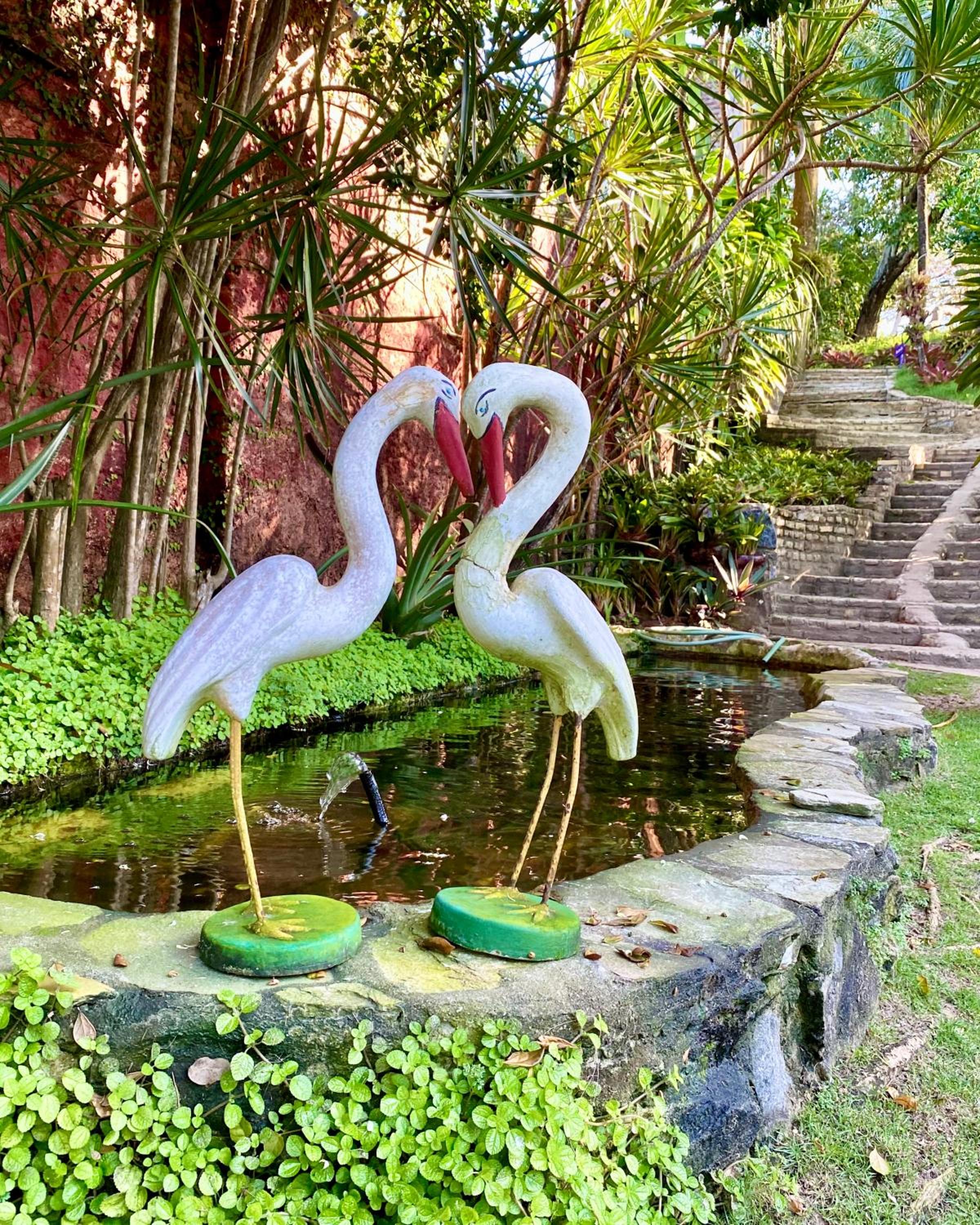 Pousada Oasis