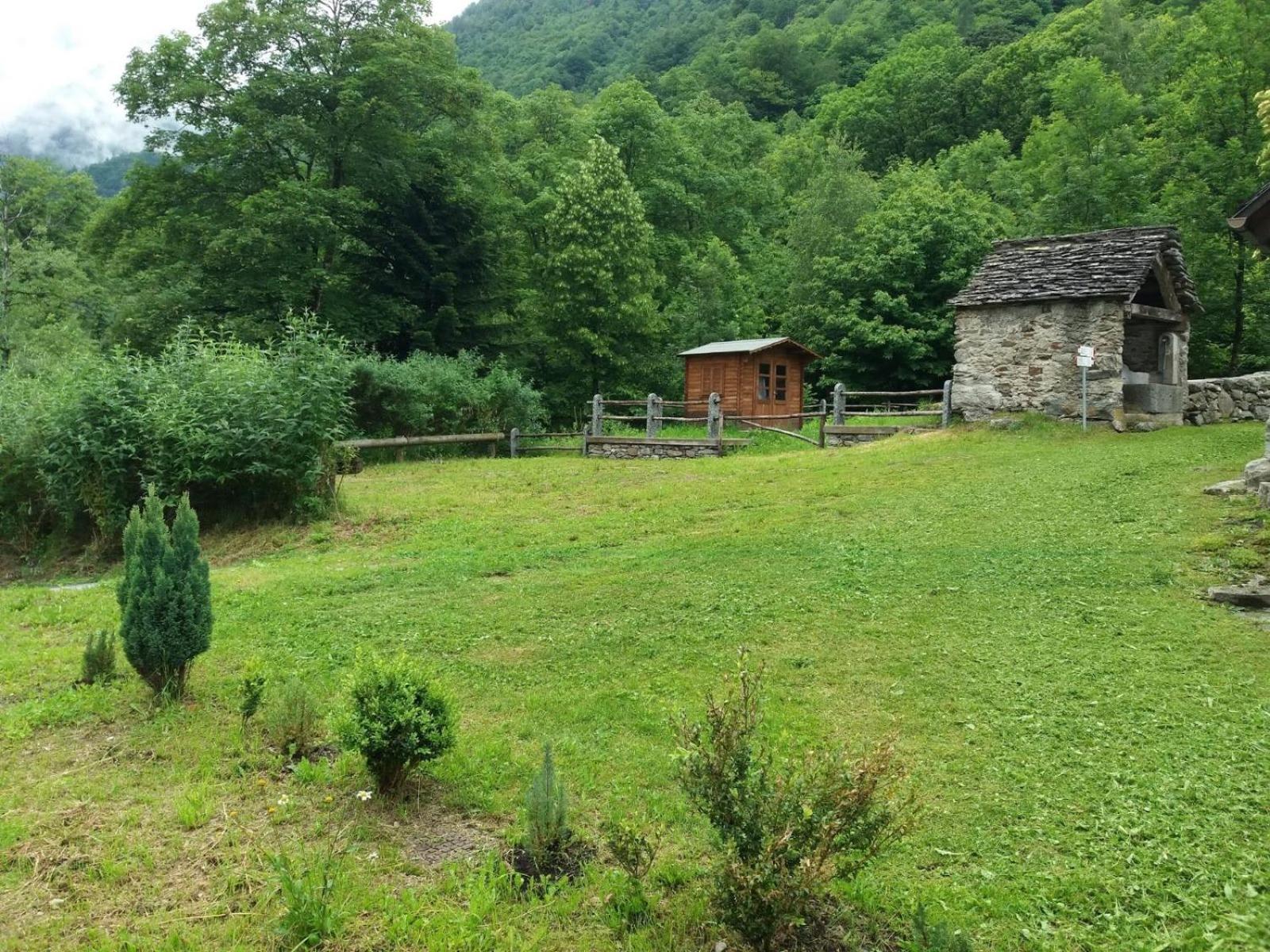Photo 44
