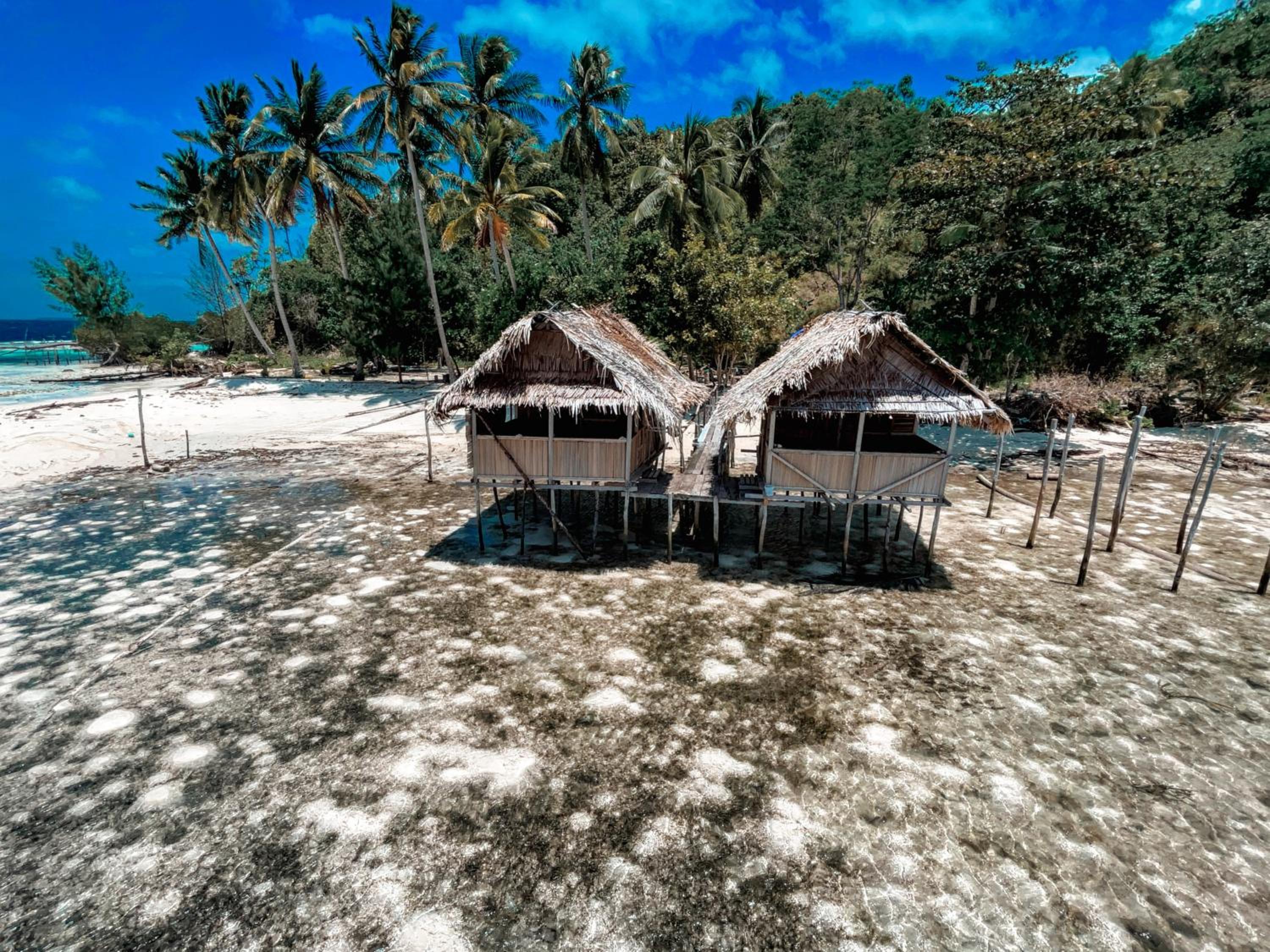 Tamaku house reef raja Ampat view 4