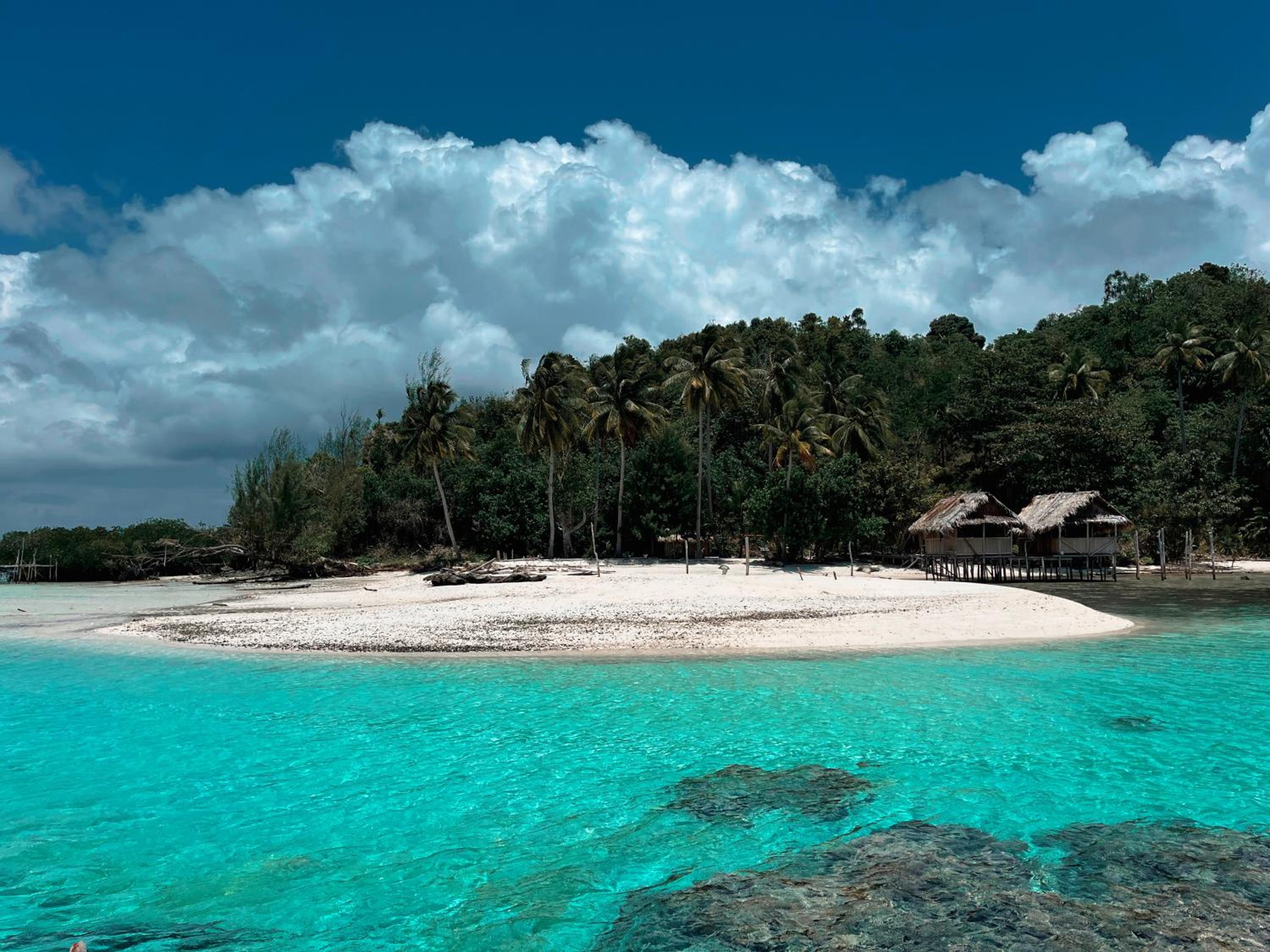 Tamaku house reef raja Ampat view 2