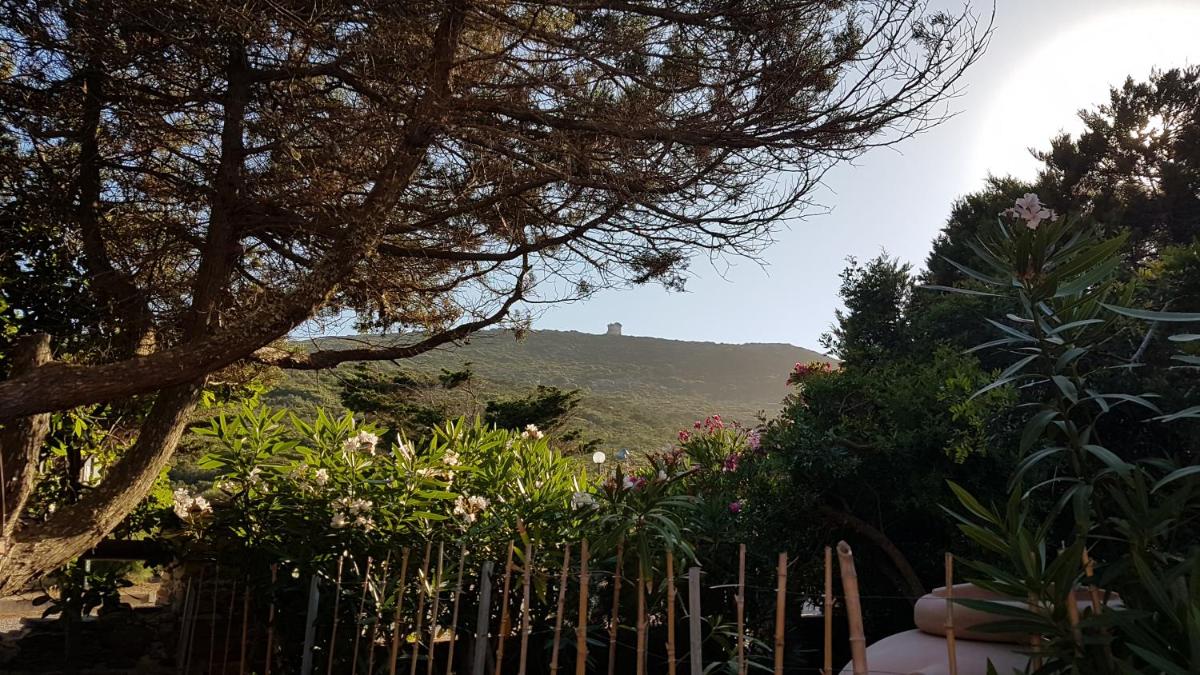 Rosa dei venti photo 4