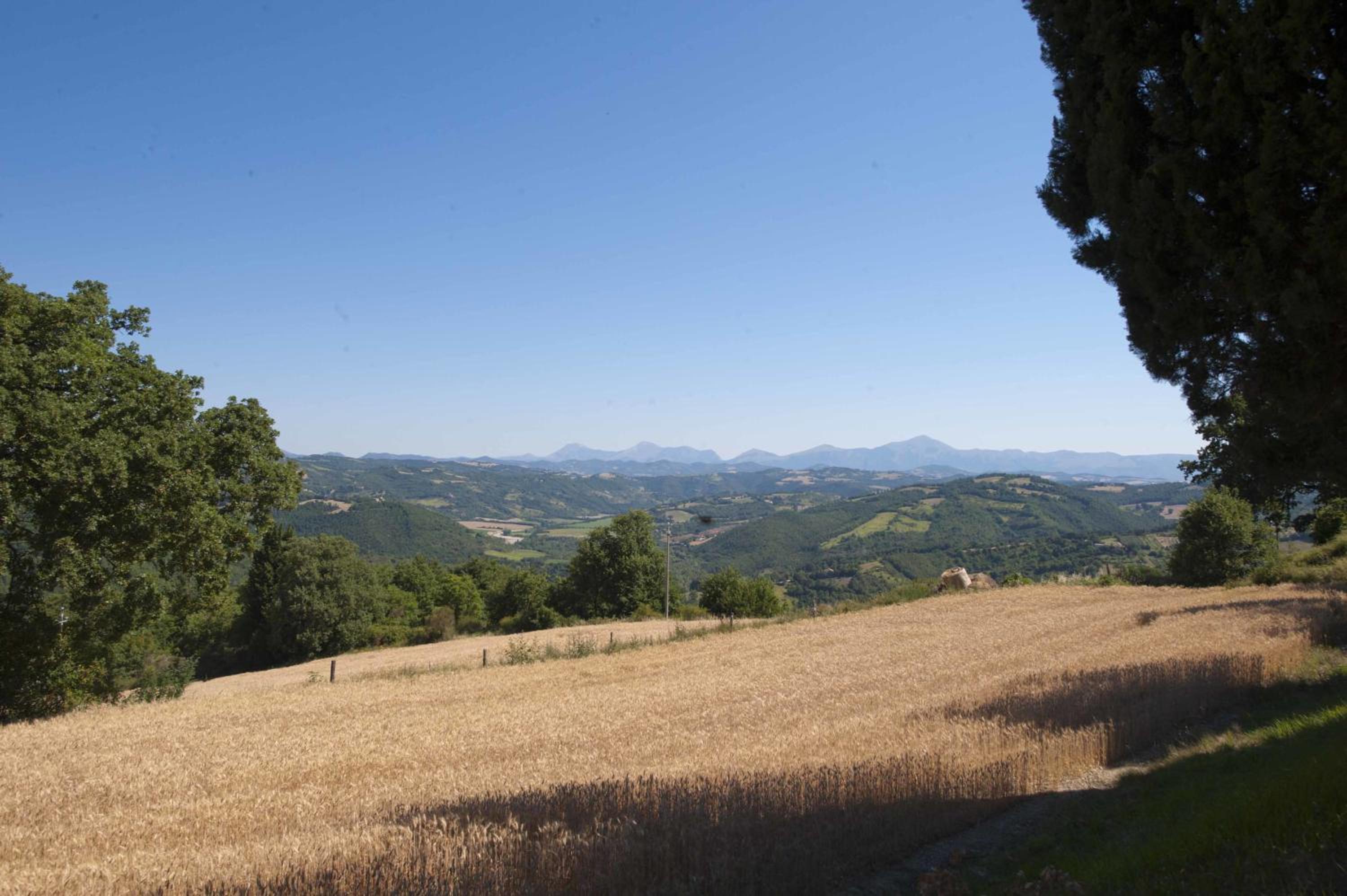 Agriturismo Tenuta Di Biscina