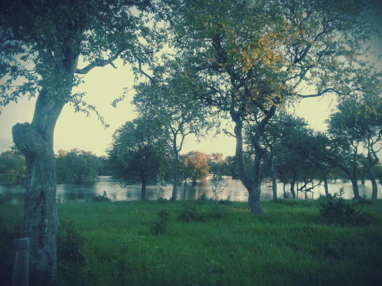 Photo 28
