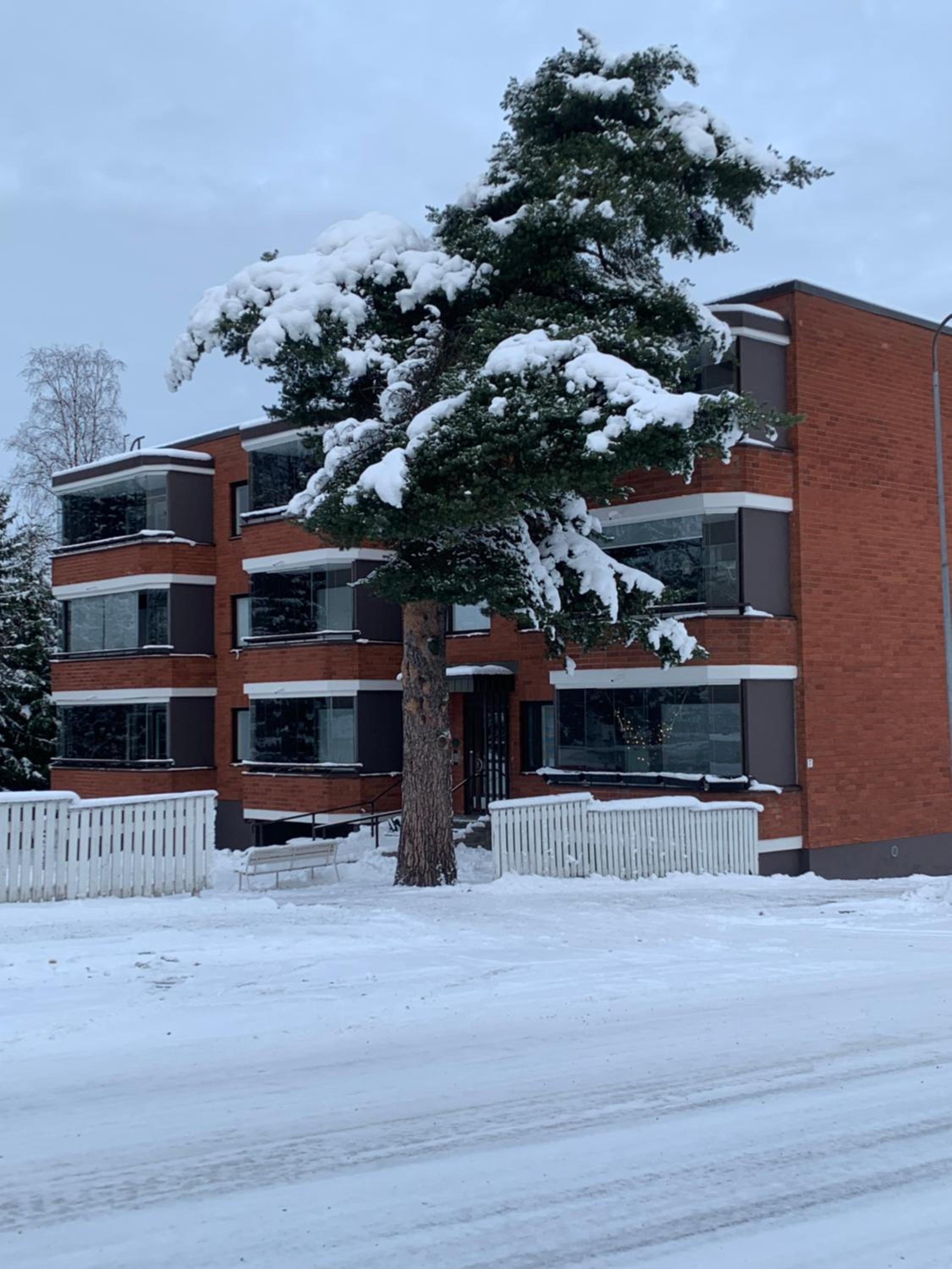 Yksiö keskustassa saunalla