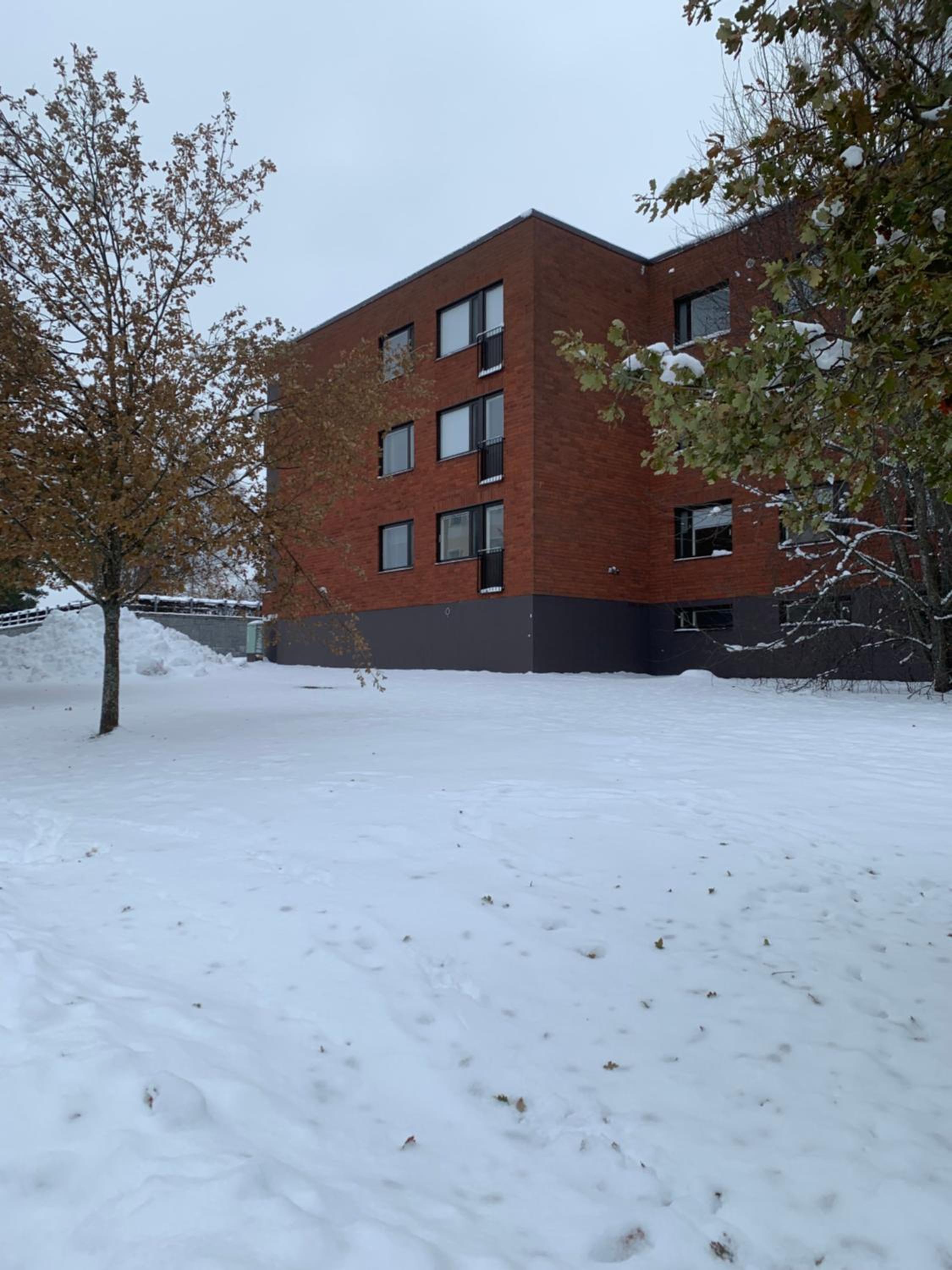 Yksiö keskustassa saunalla