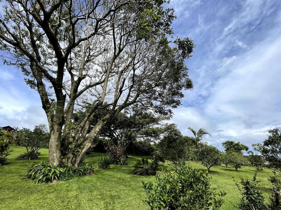 Espectacular Eco-Villa Kikillo en Costa Rica