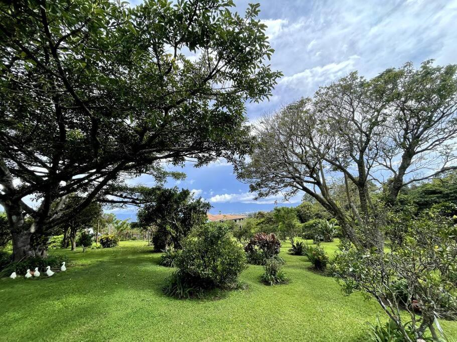 Espectacular Eco-Villa Kikillo en Costa Rica