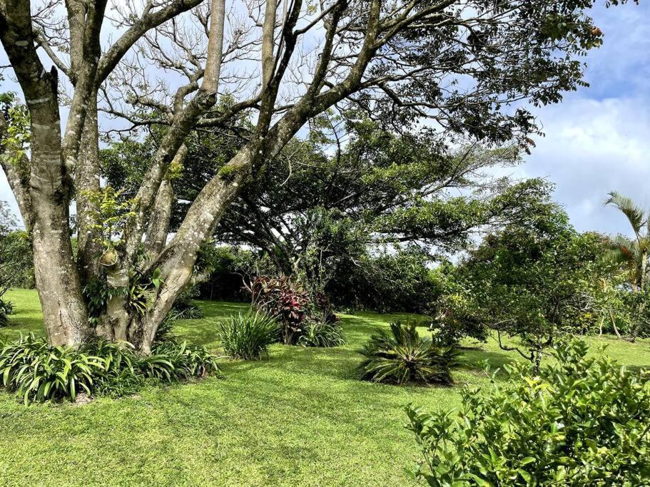 Espectacular Eco-Villa Kikillo en Costa Rica