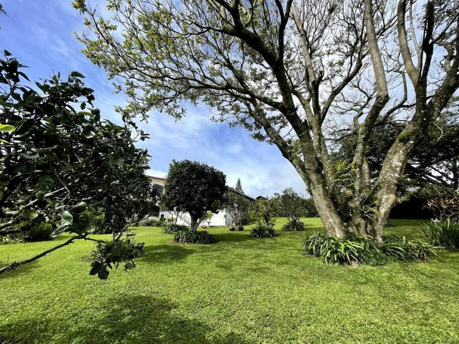 Espectacular Eco-Villa Kikillo en Costa Rica