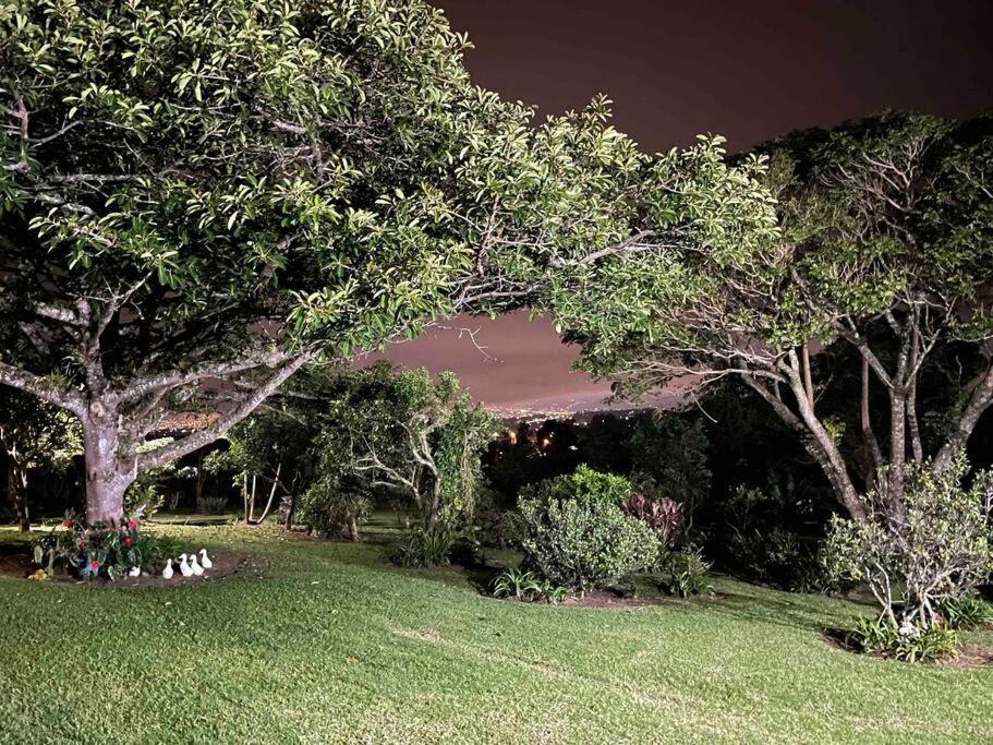Espectacular Eco-Villa Kikillo en Costa Rica