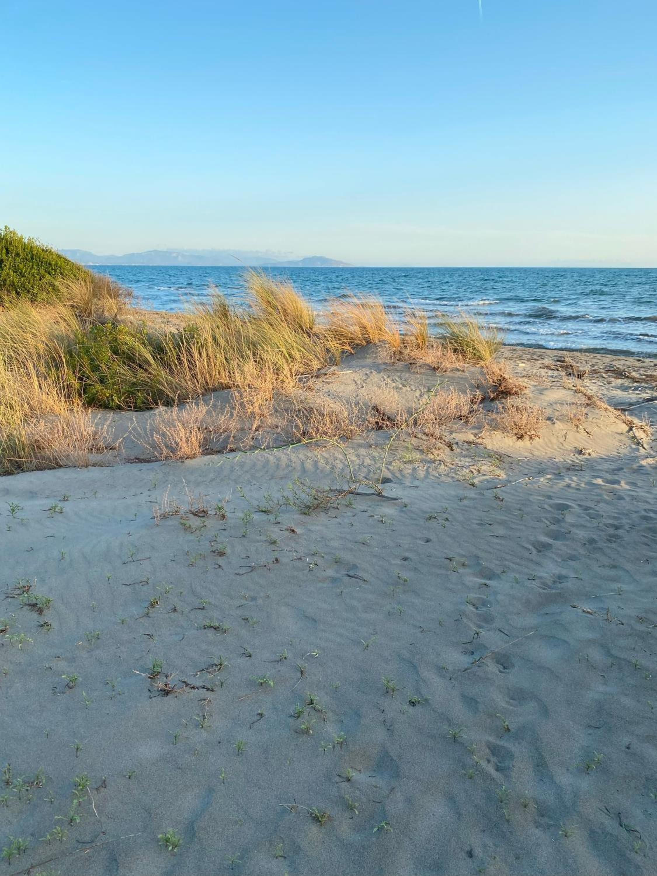 Villa Caretta - direkt an einem einsamen Strand im Süden des Peloponnes view 2