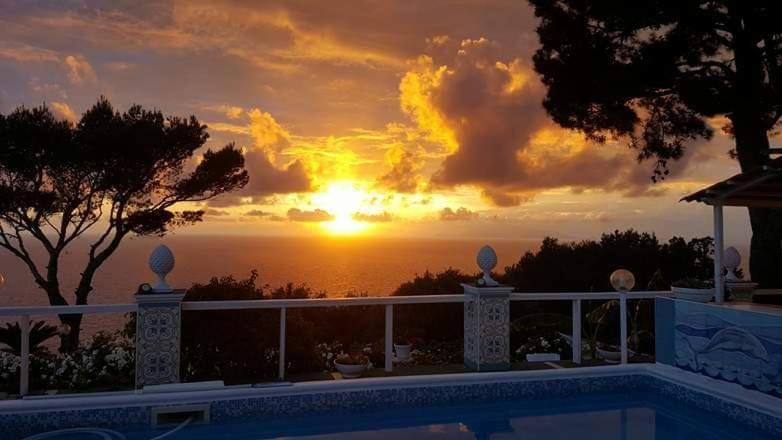 bb la guardiia photo 5