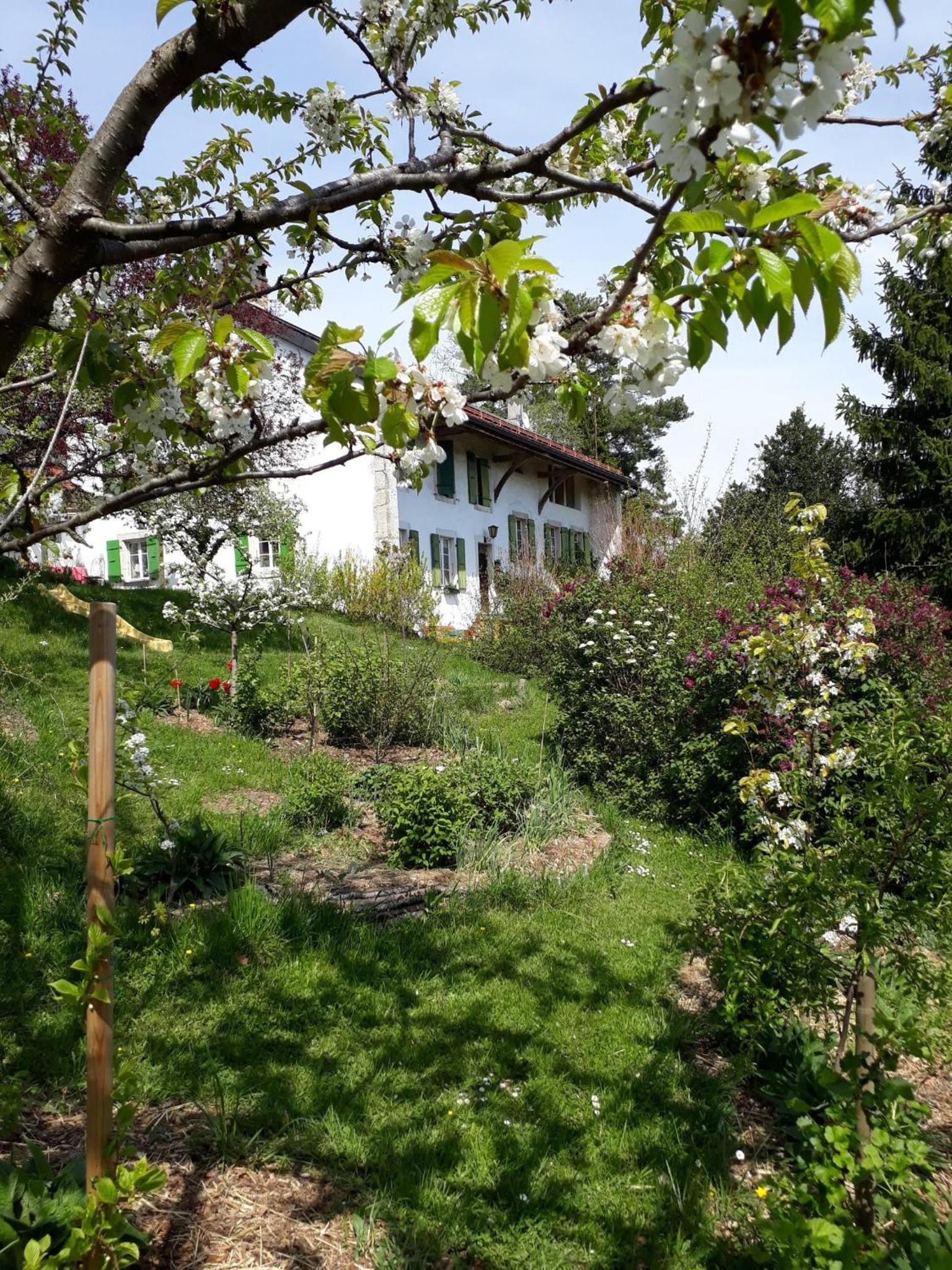 Chez Cathy