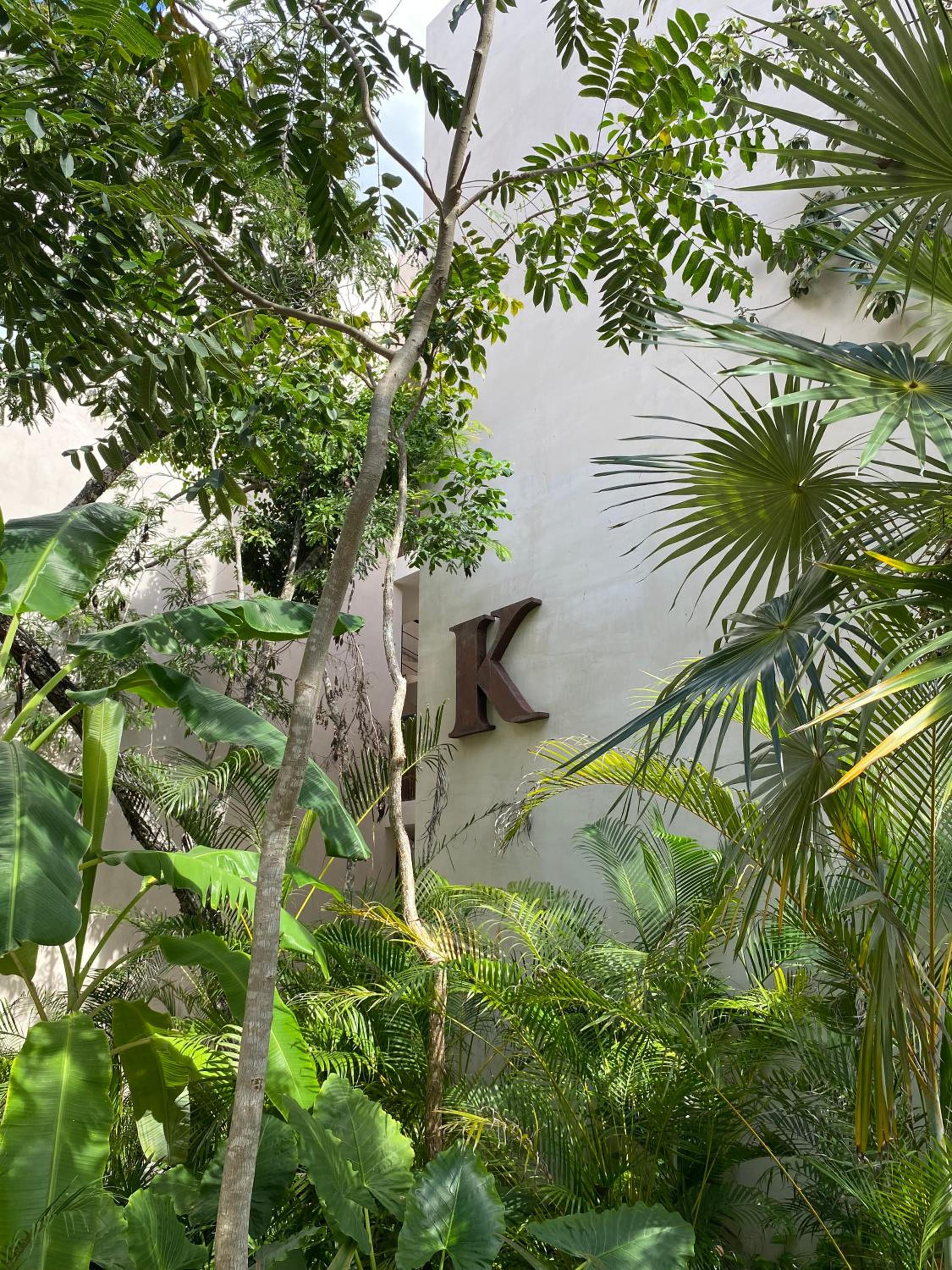 Luxurious Jungle Studio view 4
