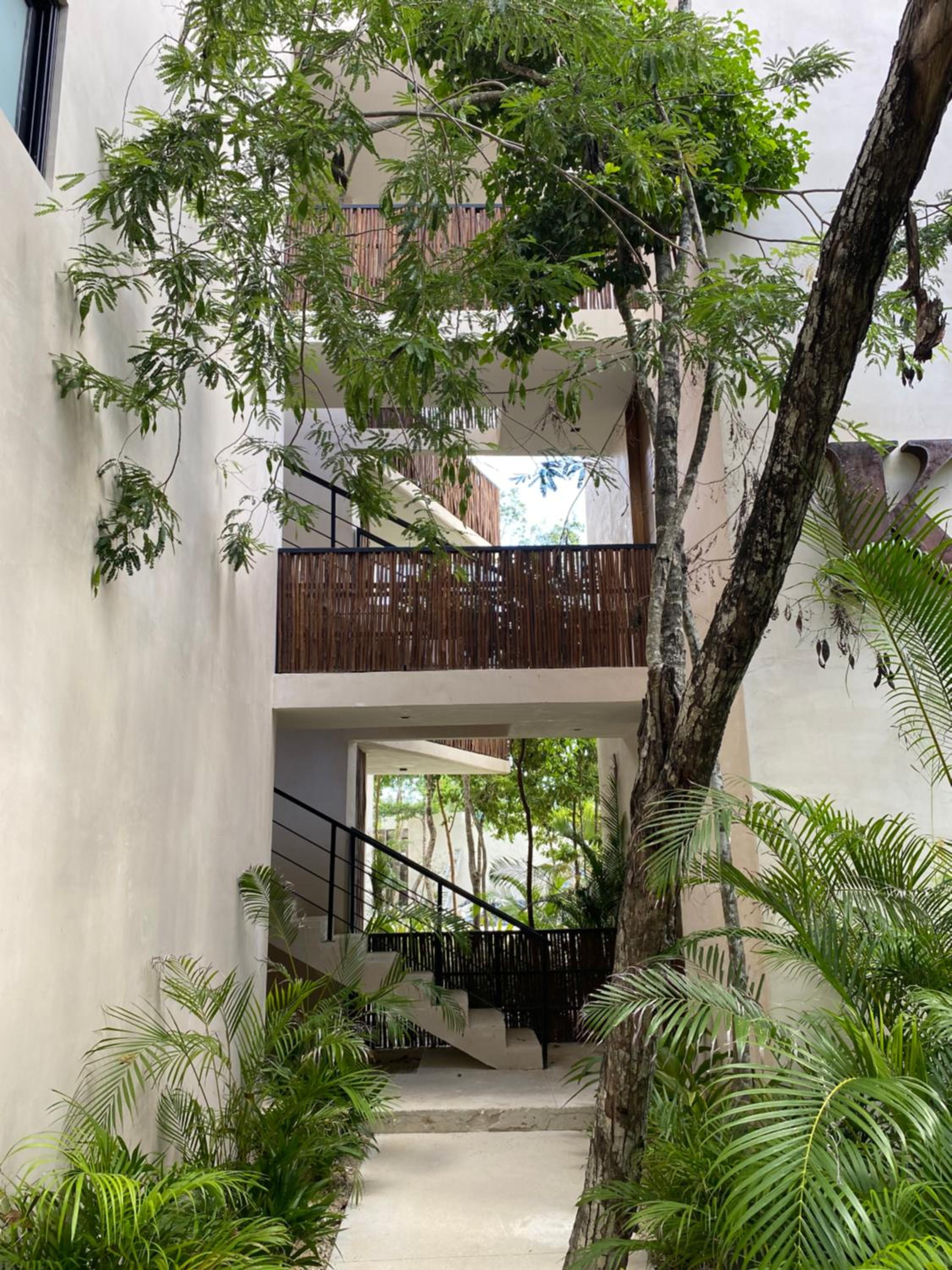 Luxurious Jungle Studio view 3