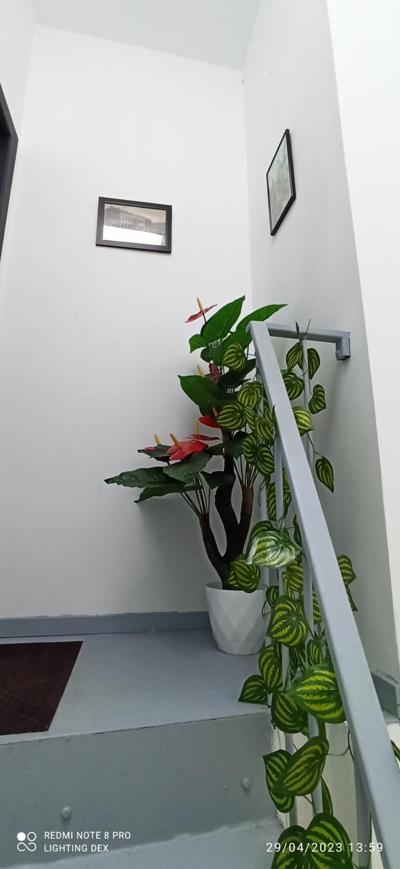 Photo 39